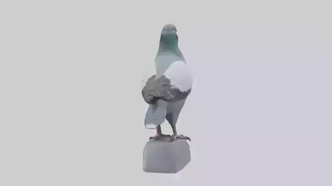 Pigeon statue model