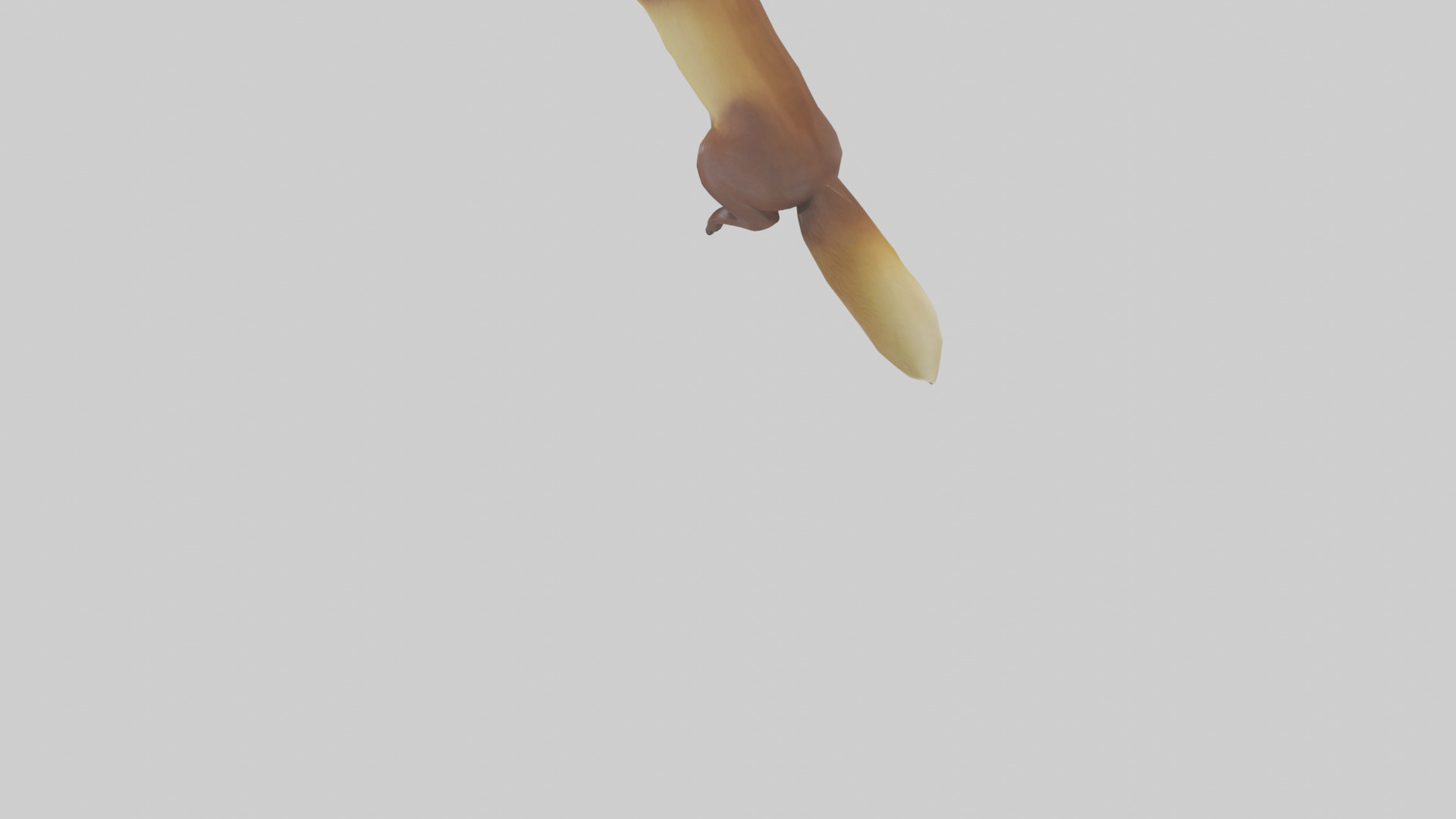 Pine Marten climbing model Low-poly 3D model_3