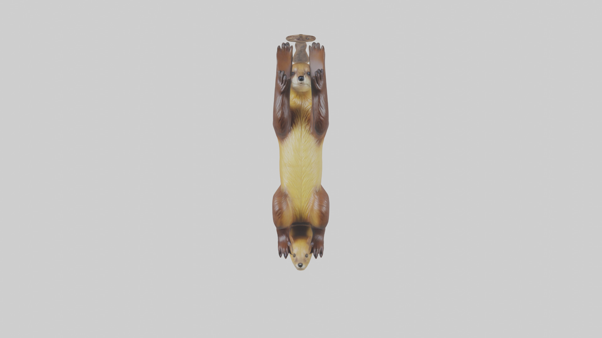 Pine Marten climbing model Low-poly 3D model_9
