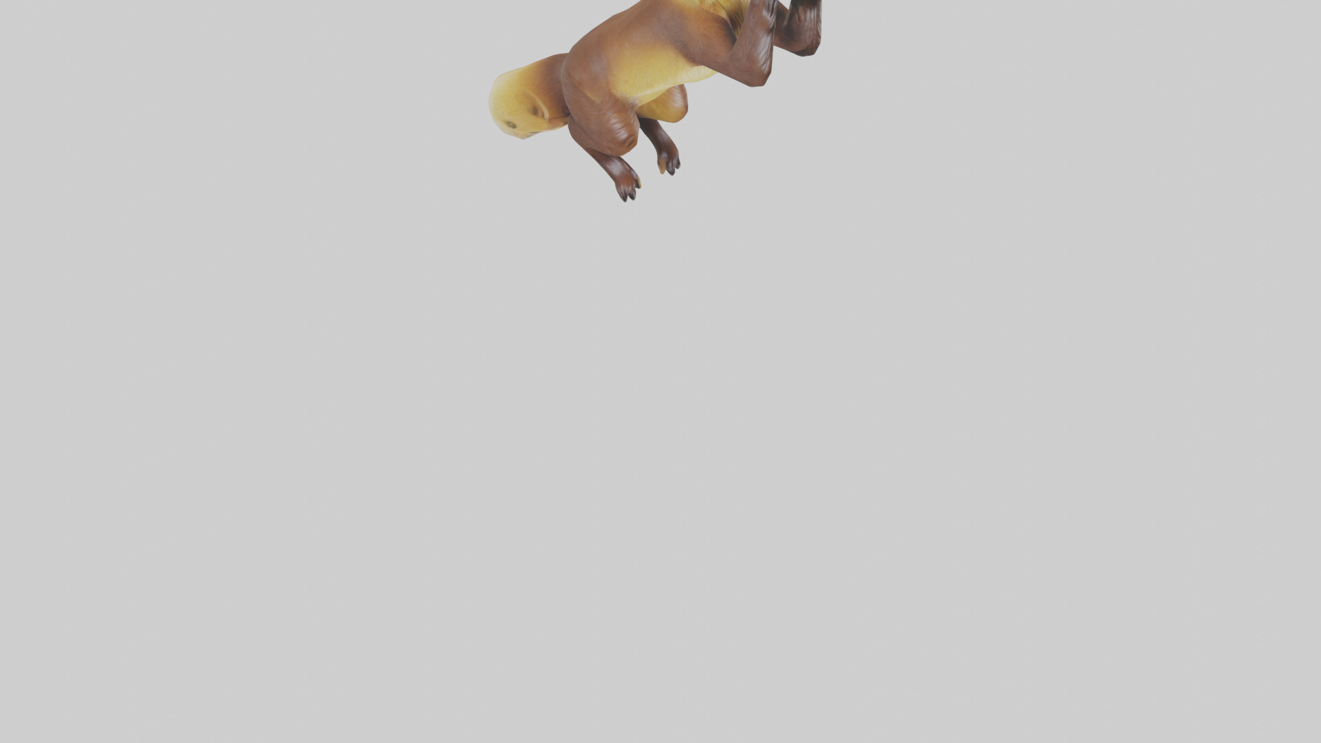Pine Marten climbing model Low-poly 3D model_6