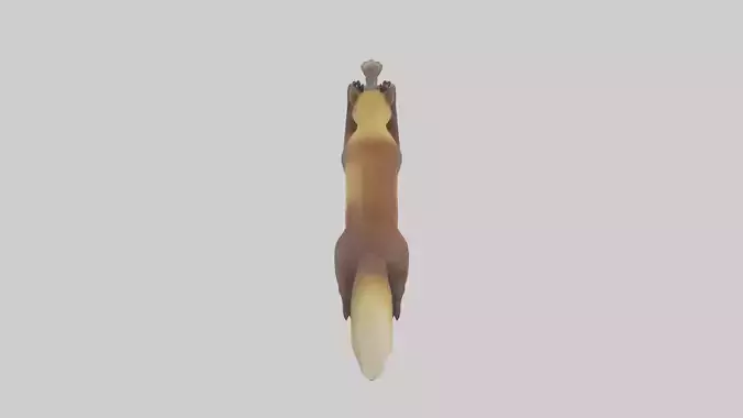Pine Marten climbing model Low-poly 3D model