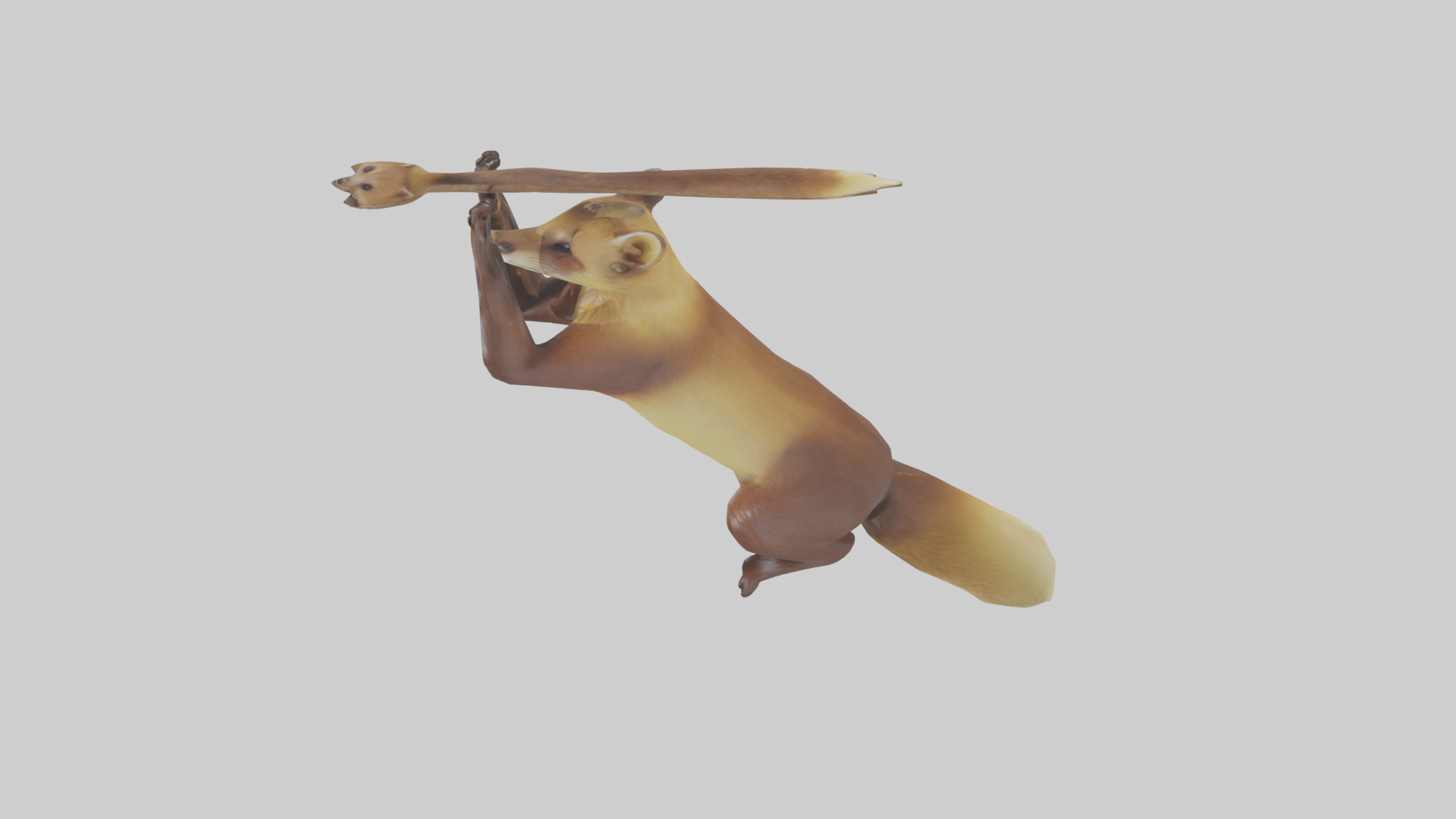 Pine Marten climbing model Low-poly 3D model_17