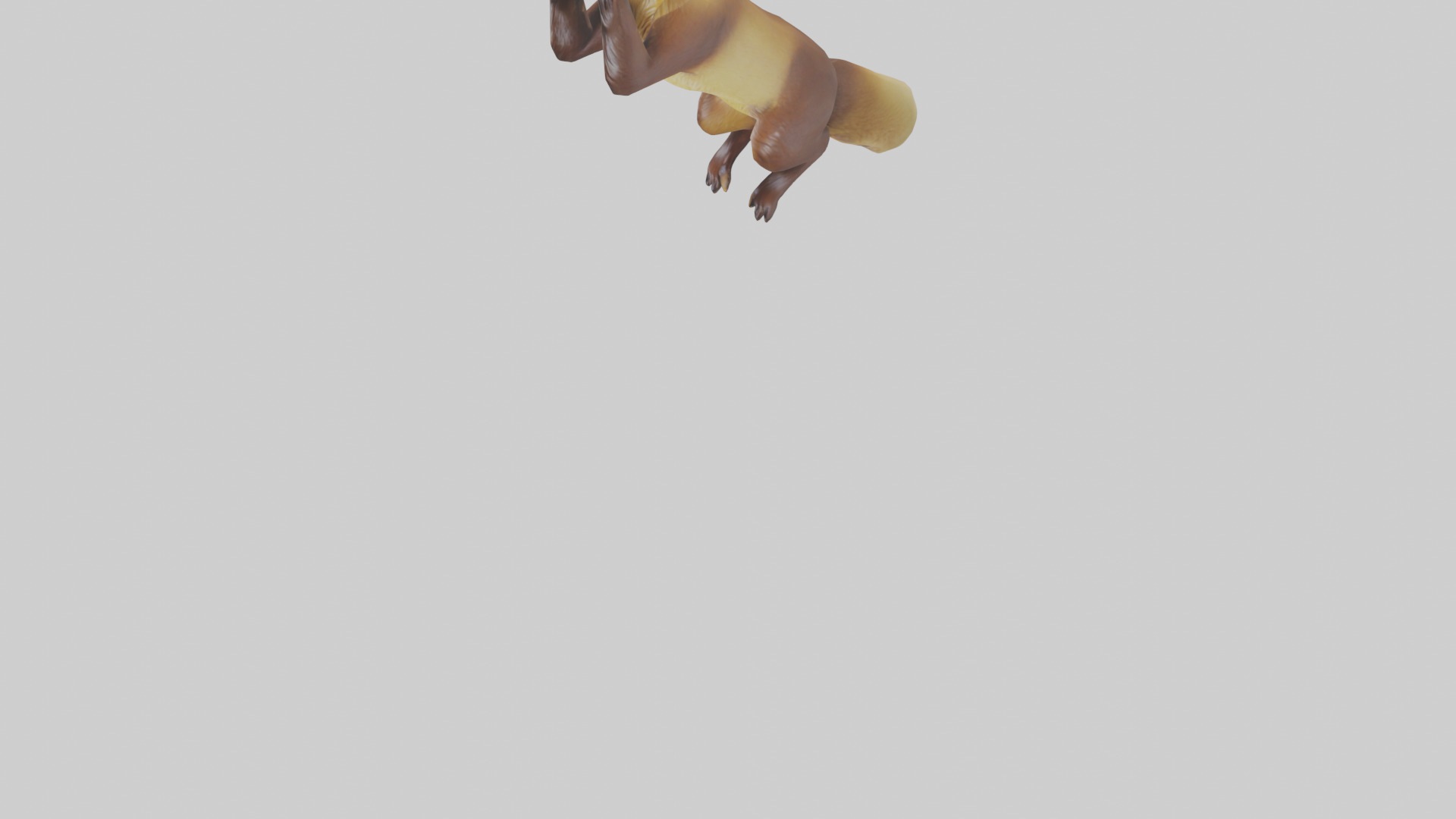 Pine Marten climbing model Low-poly 3D model_5
