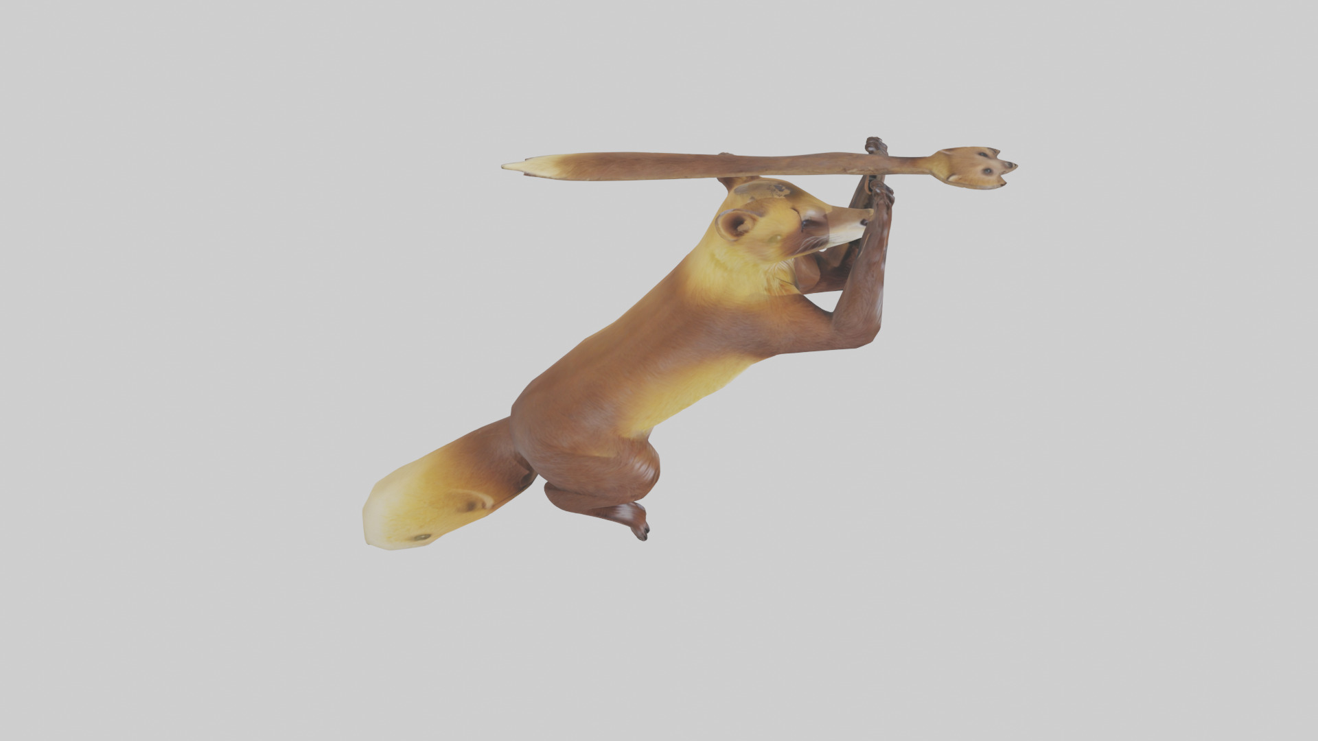 Pine Marten climbing model Low-poly 3D model_18