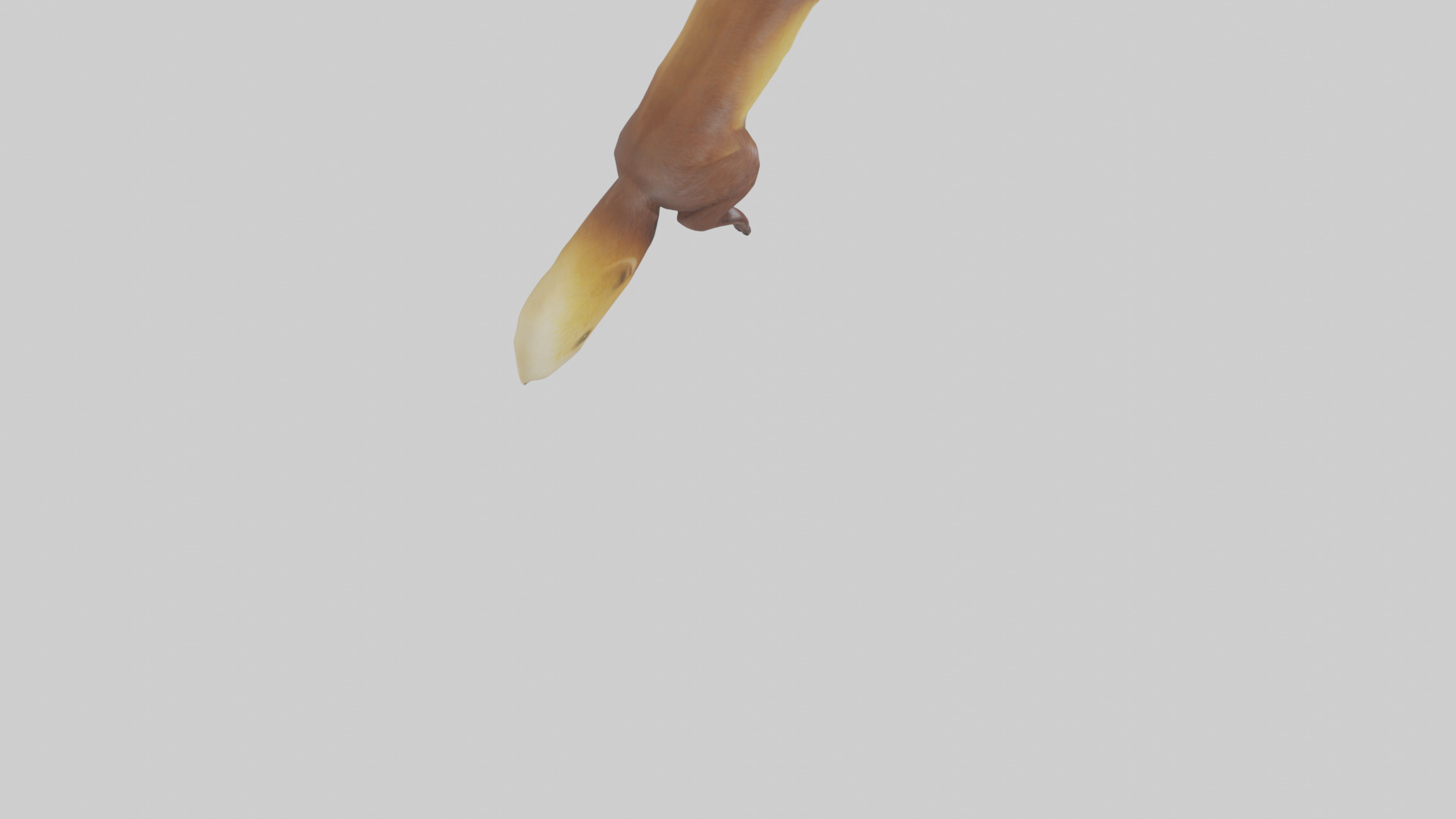 Pine Marten climbing model Low-poly 3D model_4