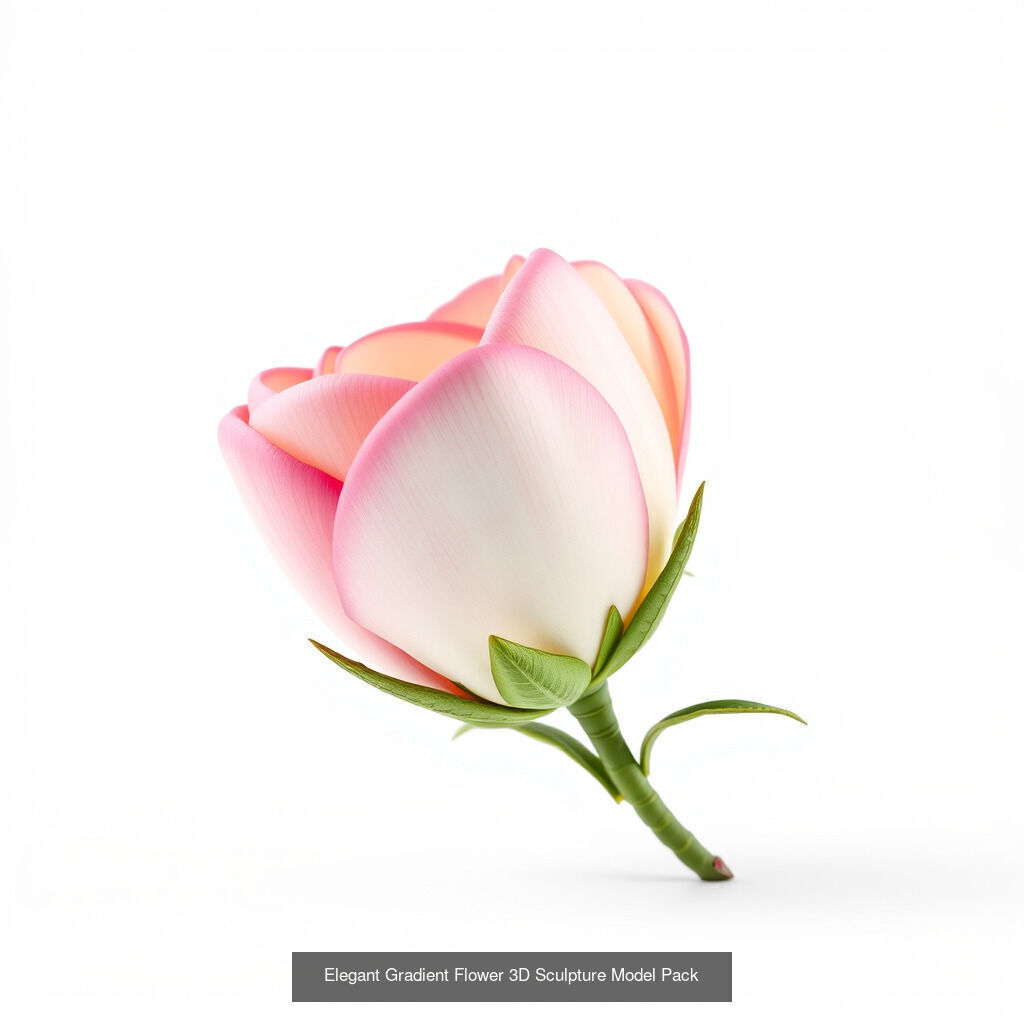 Leucanthemum Model Diversity Pack 3D Model Collection_17