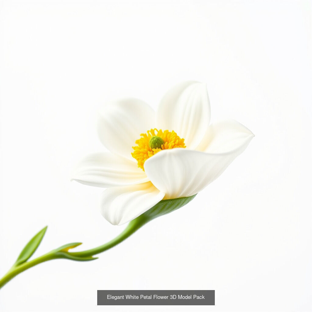 Leucanthemum Model Diversity Pack 3D Model Collection_15