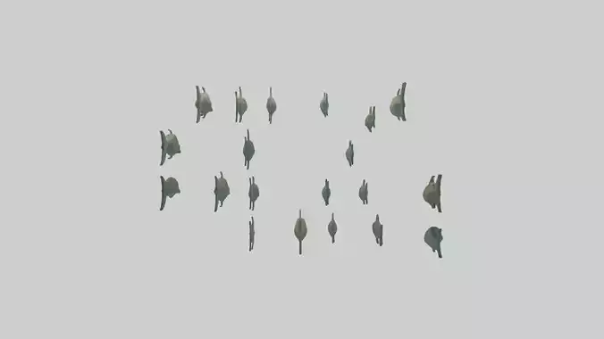 Piranha swimming in group model Low-poly 3D model