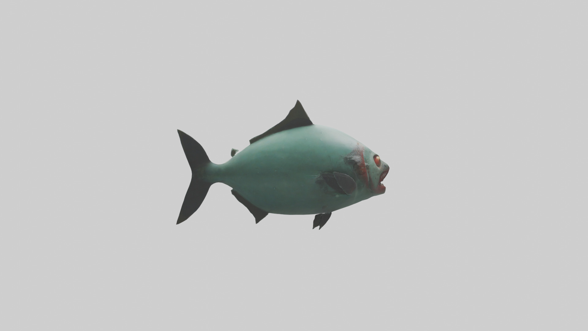 Piranha swimming model Low-poly 3D model_2