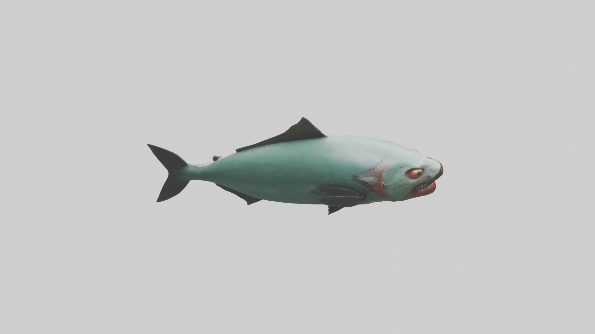 Piranha swimming model Low-poly 3D model_18