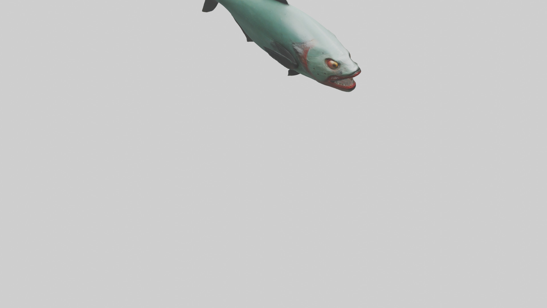 Piranha swimming model Low-poly 3D model_6