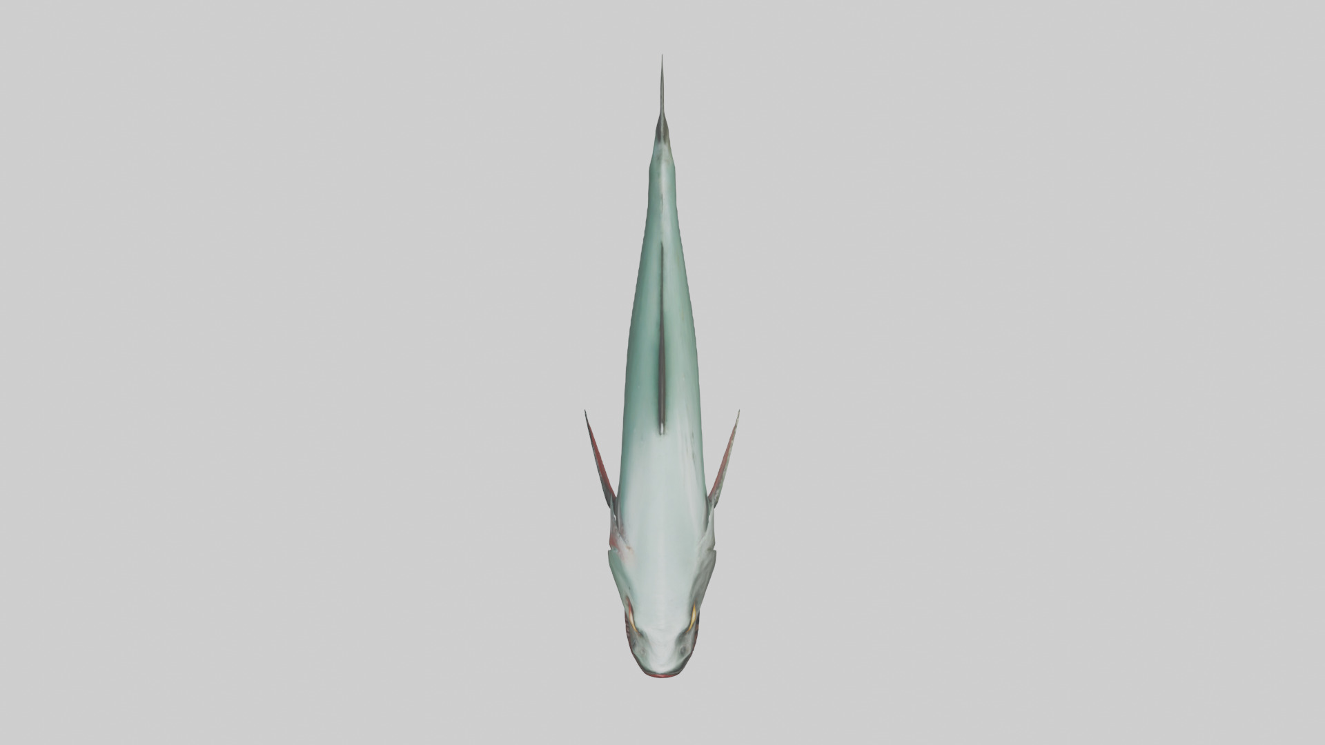 Piranha swimming model Low-poly 3D model_14
