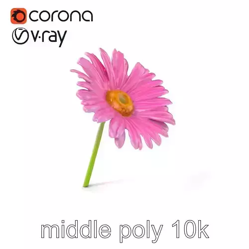 Aster Pink Flower Realistic Textured model pack Low-poly 3D model