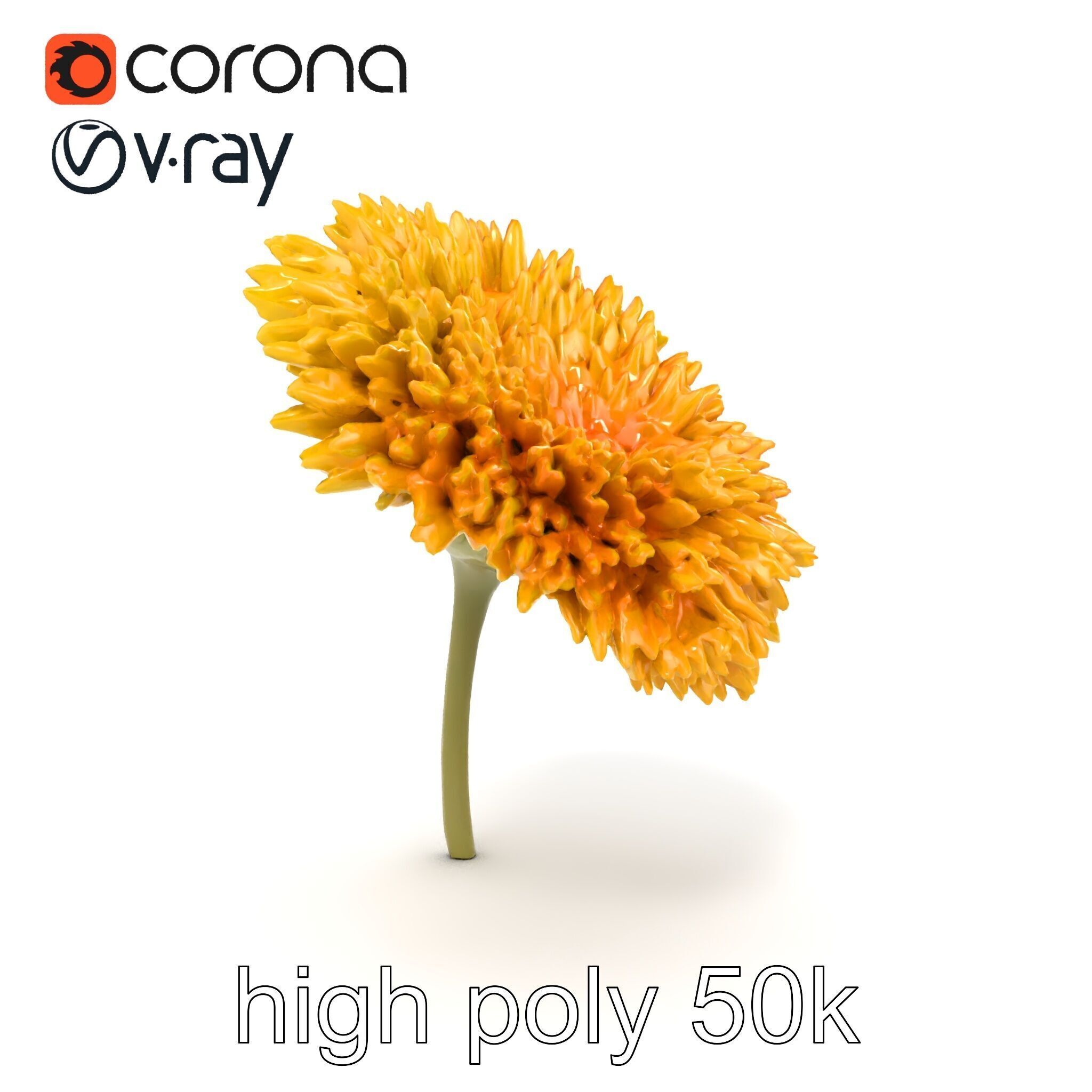 Chrysanthemum Yellow Sunlit Texture model pack Low-poly 3D model_29