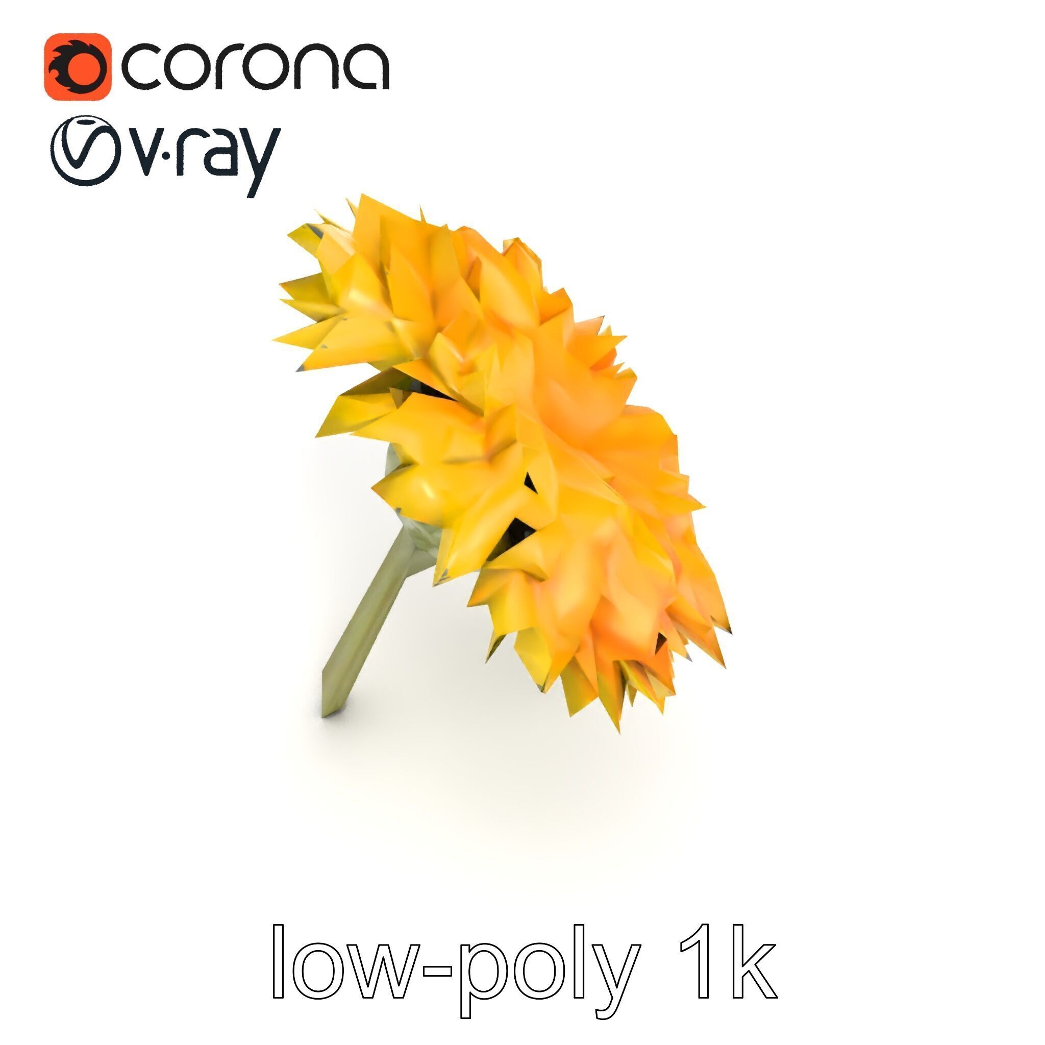 Chrysanthemum Yellow Sunlit Texture model pack Low-poly 3D model_18