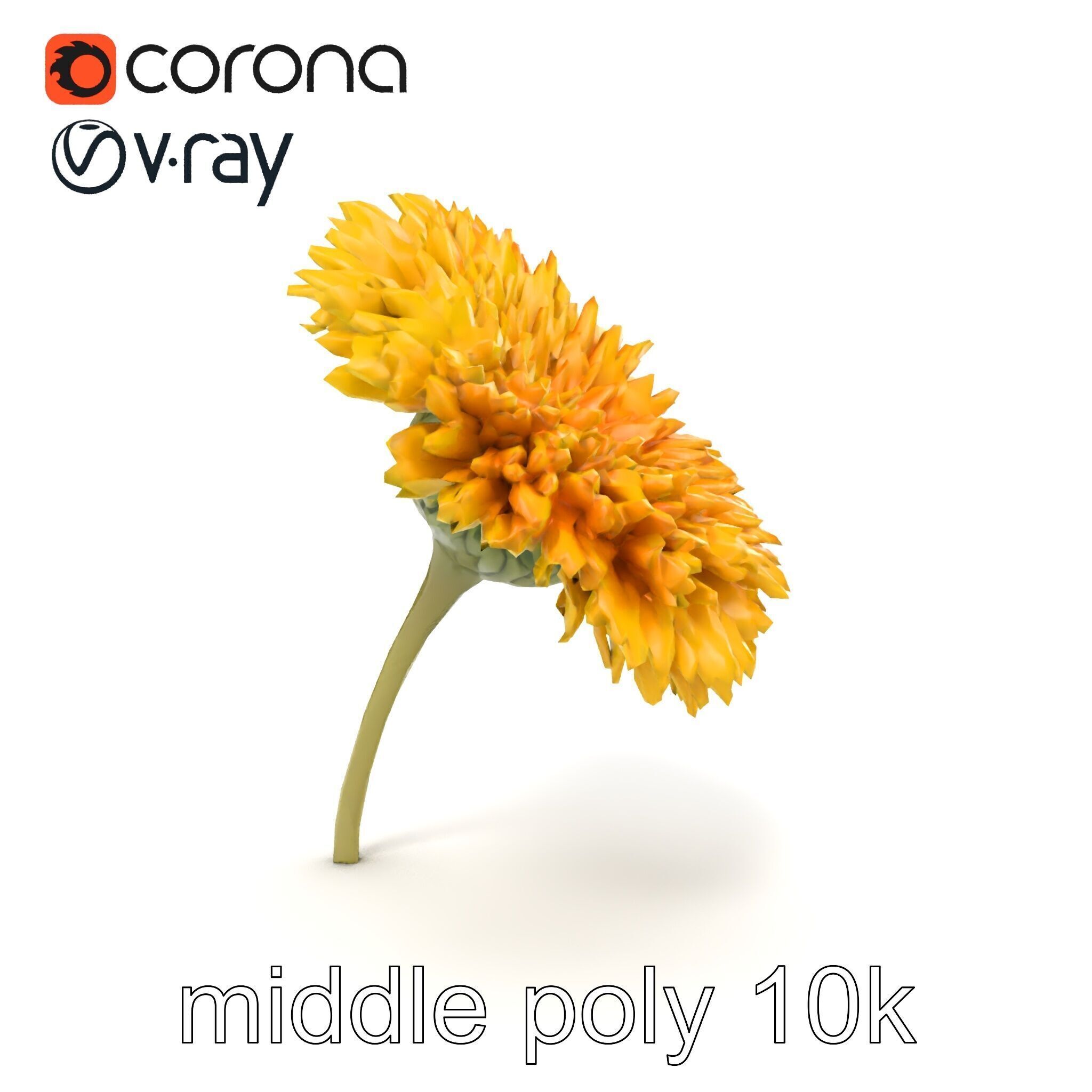 Chrysanthemum Yellow Sunlit Texture model pack Low-poly 3D model_26