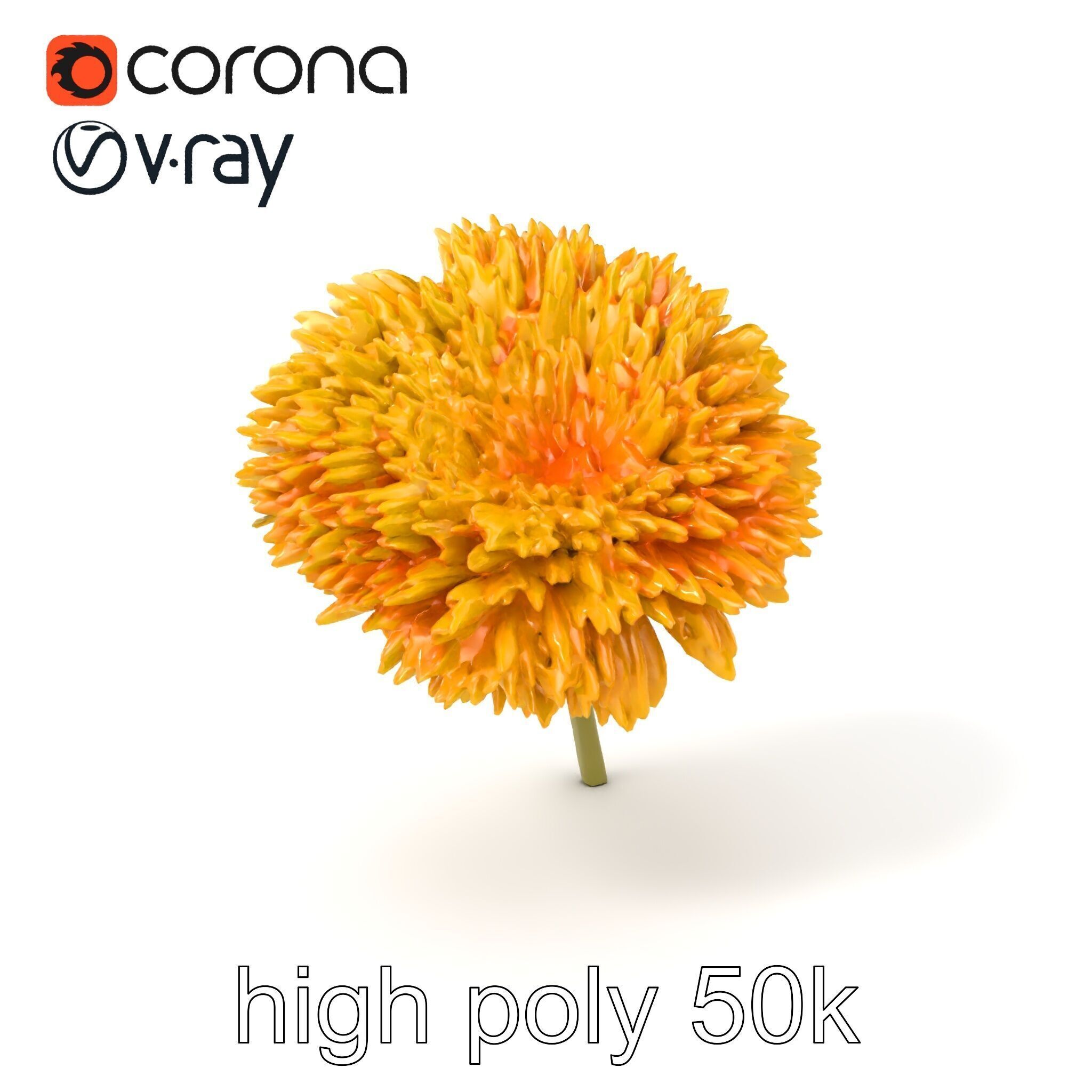 Chrysanthemum Yellow Sunlit Texture model pack Low-poly 3D model_2