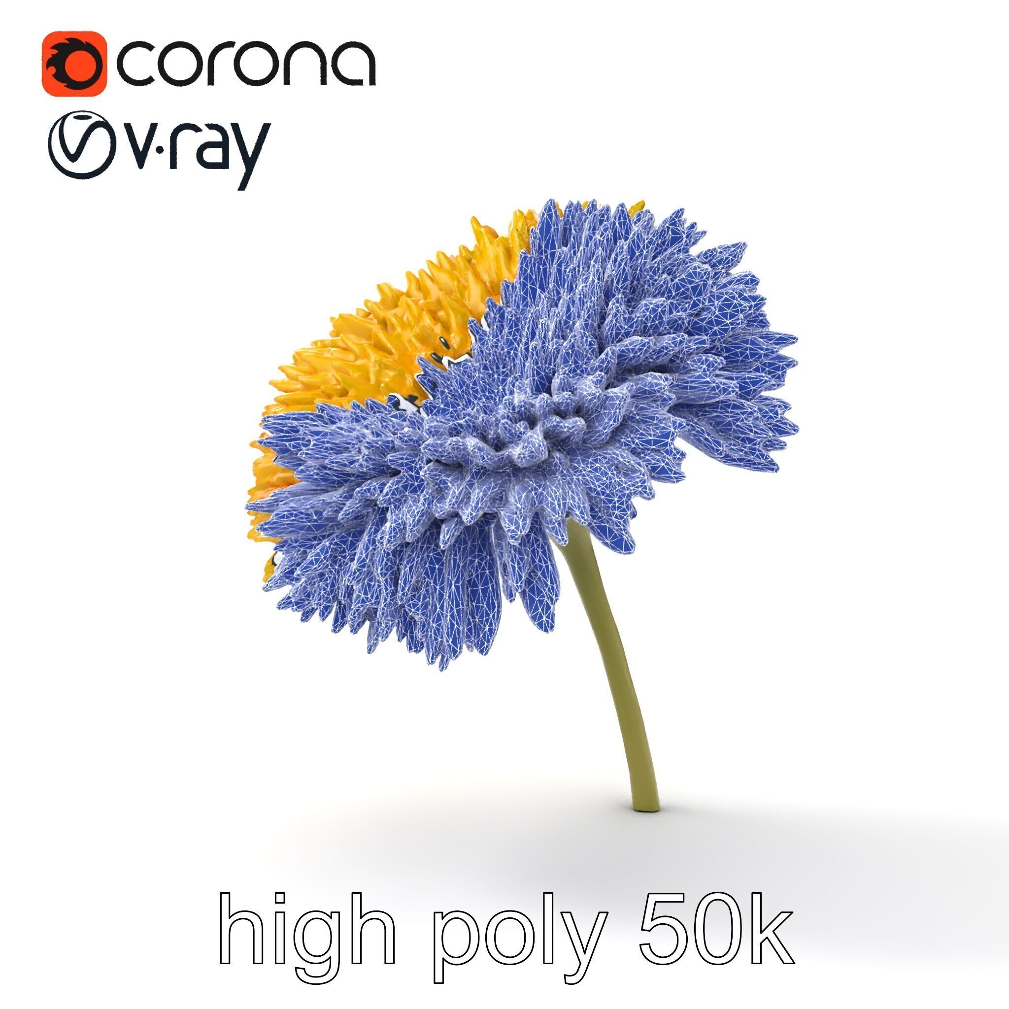 Chrysanthemum Yellow Sunlit Texture model pack Low-poly 3D model_16