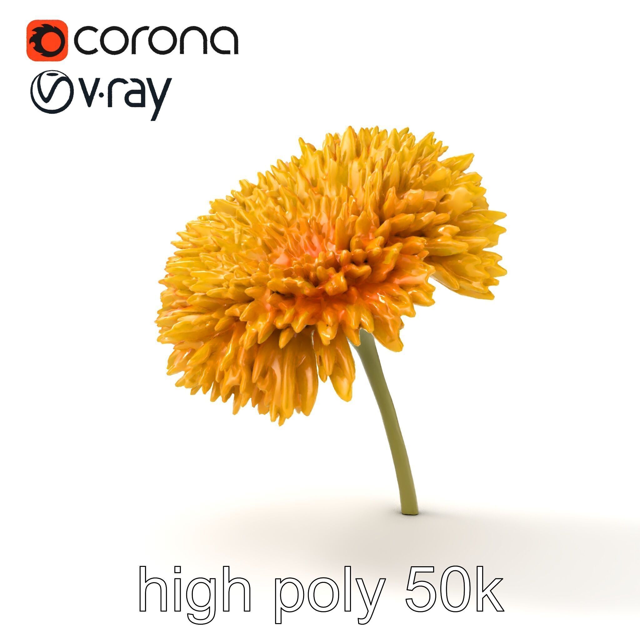 Chrysanthemum Yellow Sunlit Texture model pack Low-poly 3D model_17