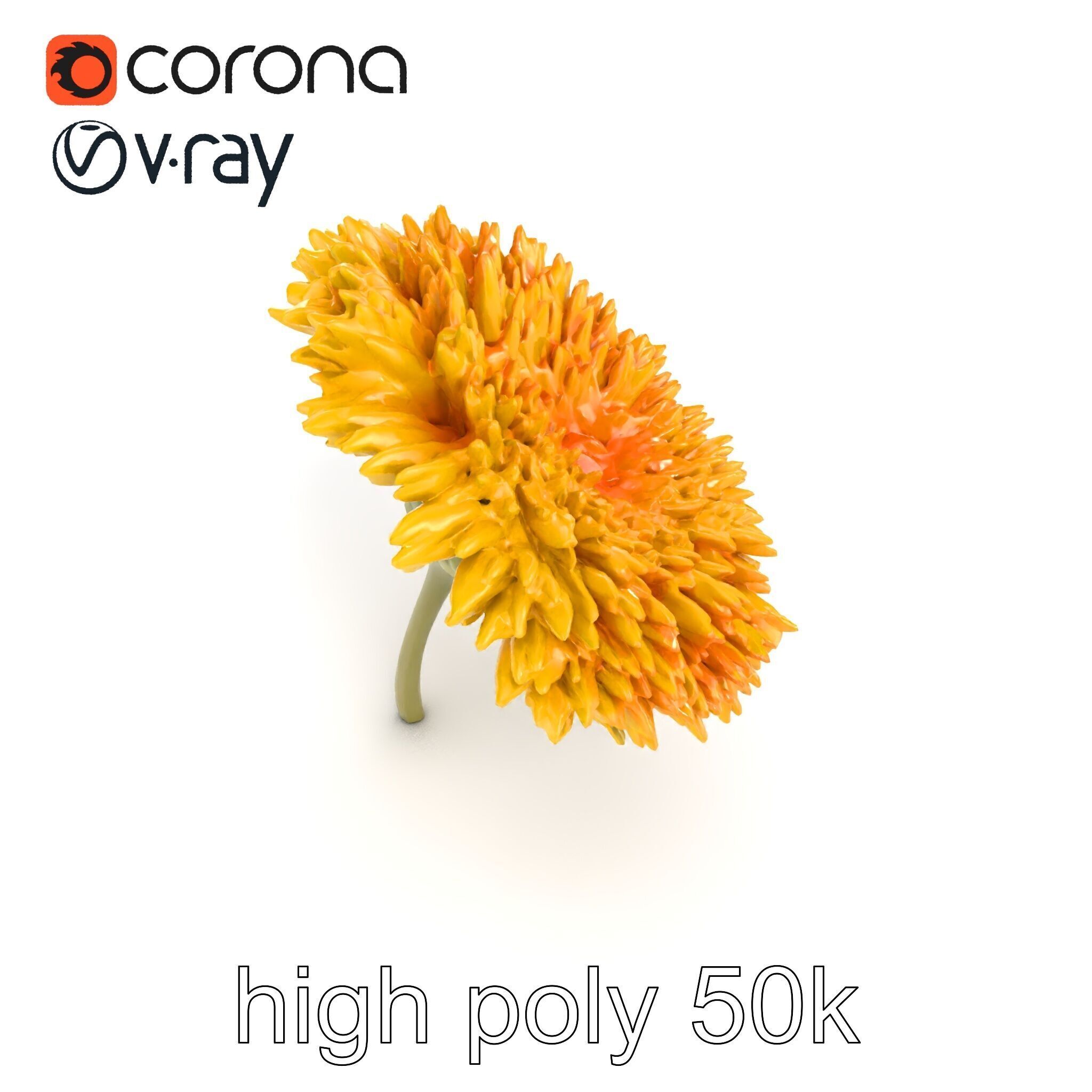 Chrysanthemum Yellow Sunlit Texture model pack Low-poly 3D model_11