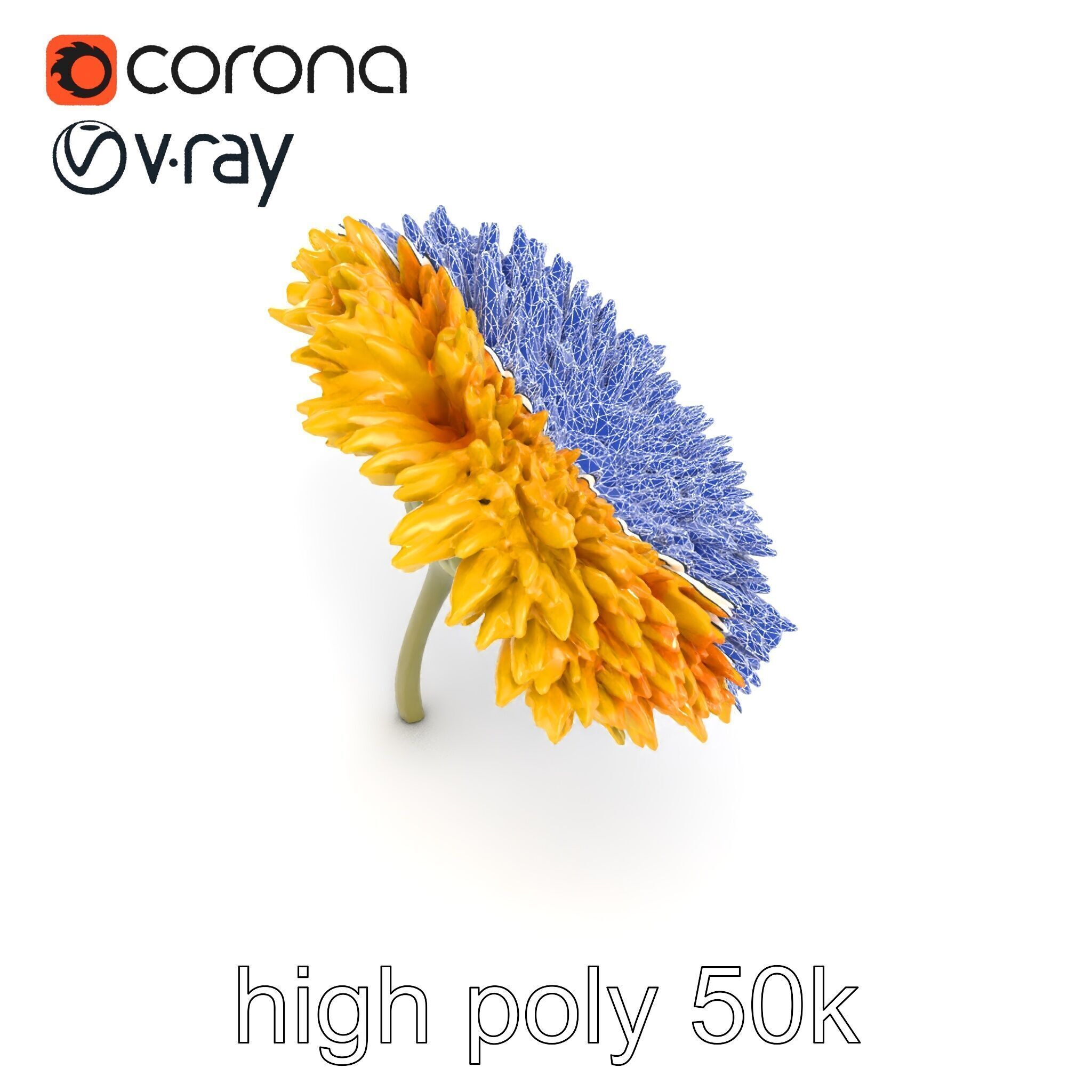 Chrysanthemum Yellow Sunlit Texture model pack Low-poly 3D model_30