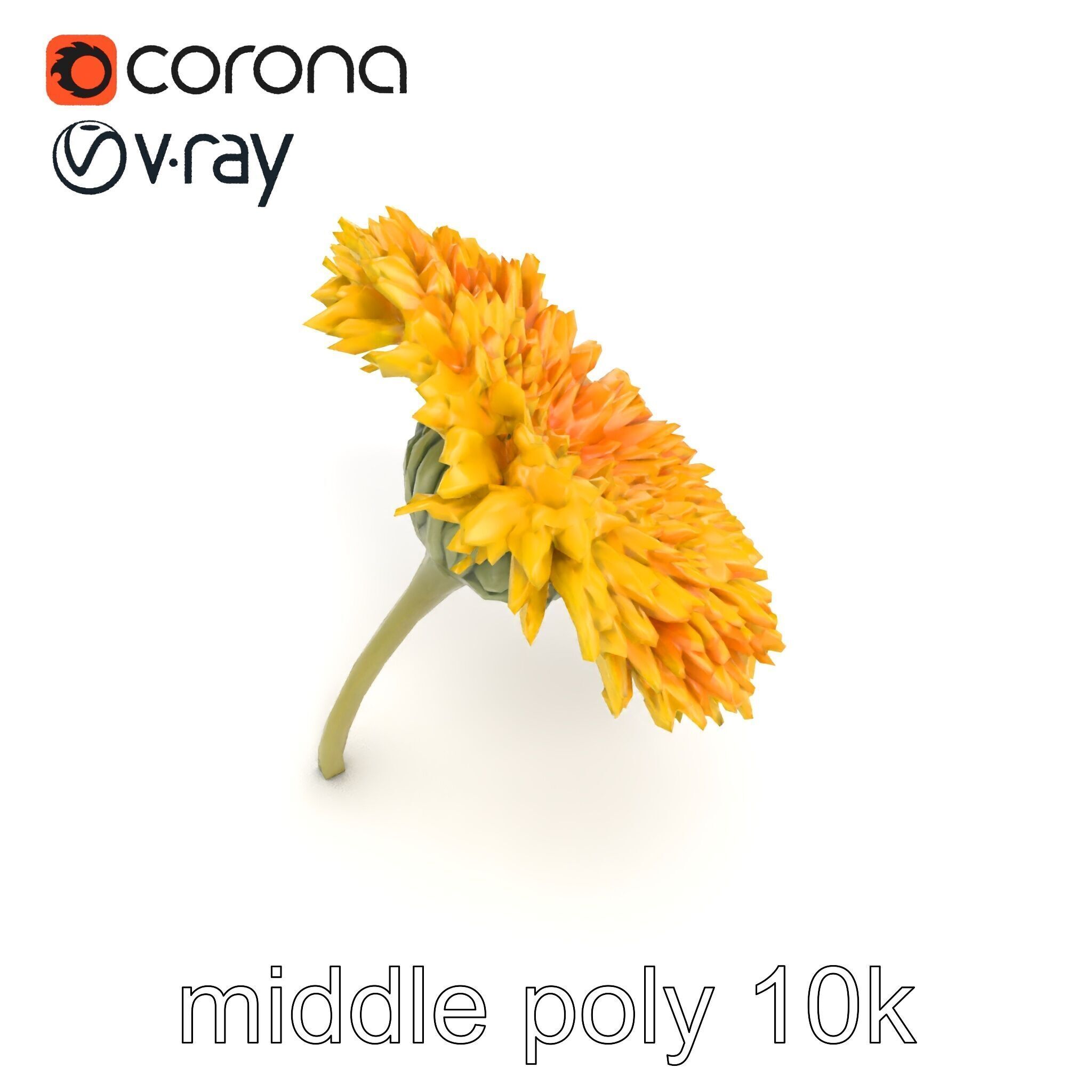 Chrysanthemum Yellow Sunlit Texture model pack Low-poly 3D model_13