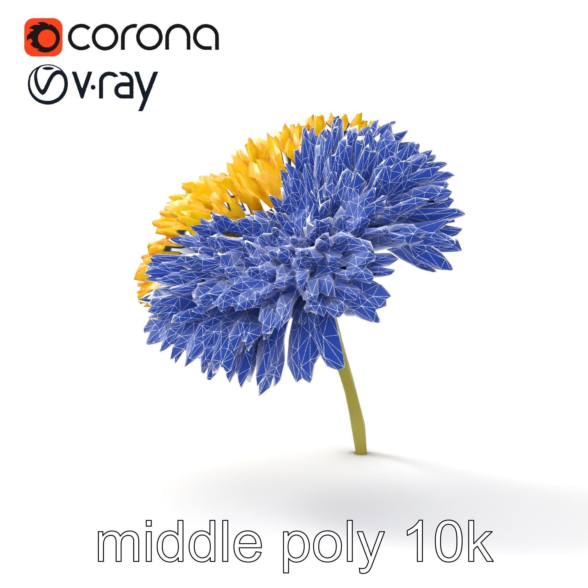 Chrysanthemum Yellow Sunlit Texture model pack Low-poly 3D model_20
