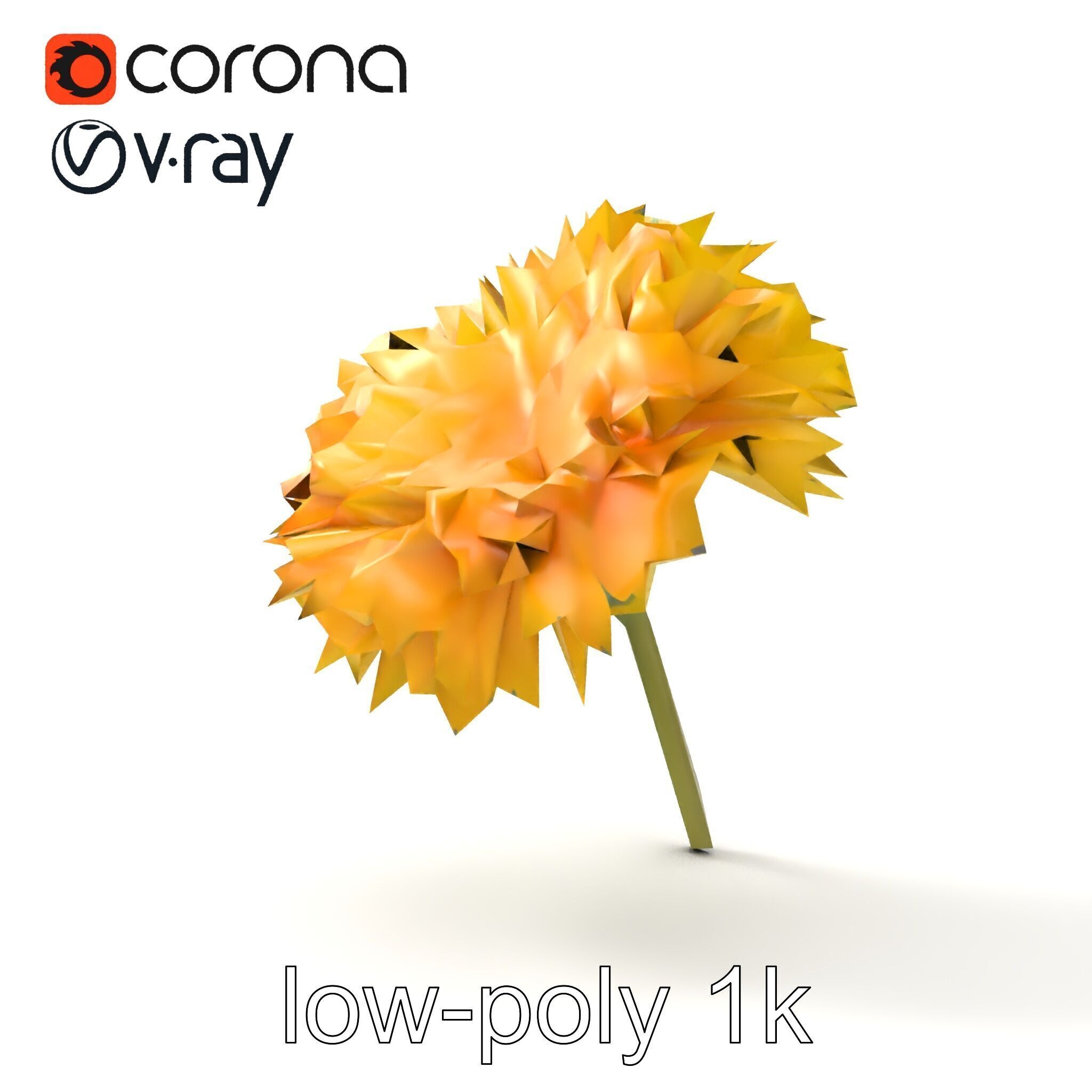 Chrysanthemum Yellow Sunlit Texture model pack Low-poly 3D model_12