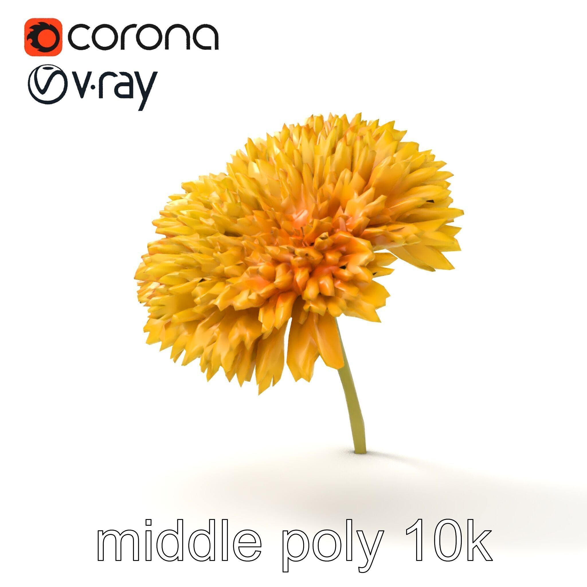 Chrysanthemum Yellow Sunlit Texture model pack Low-poly 3D model_15