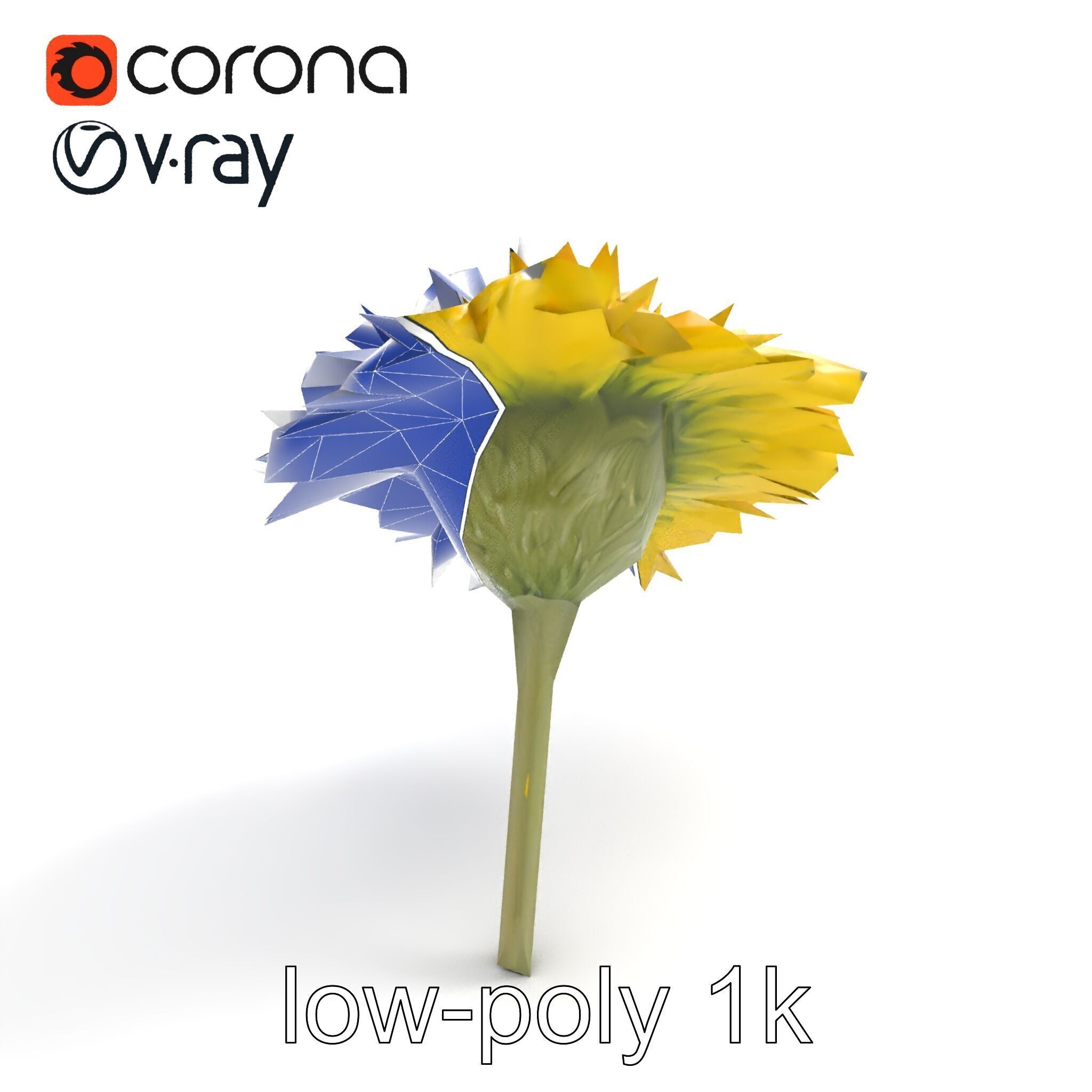 Chrysanthemum Yellow Sunlit Texture model pack Low-poly 3D model_25