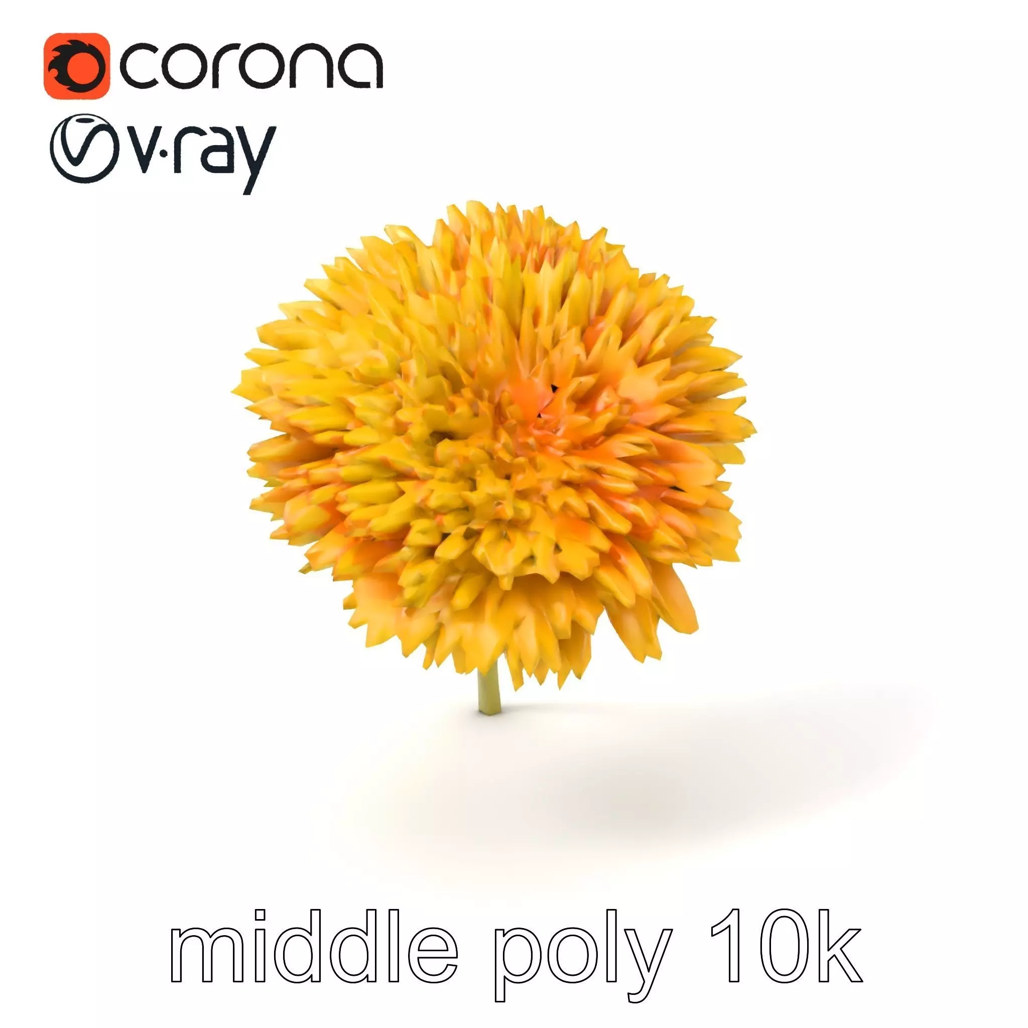 Chrysanthemum Yellow Sunlit Texture model pack Low-poly 3D model_0