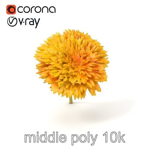 Chrysanthemum Yellow Sunlit Texture model pack Low-poly 3D model