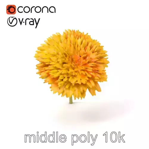 Chrysanthemum Yellow Sunlit Texture model pack Low-poly 3D model