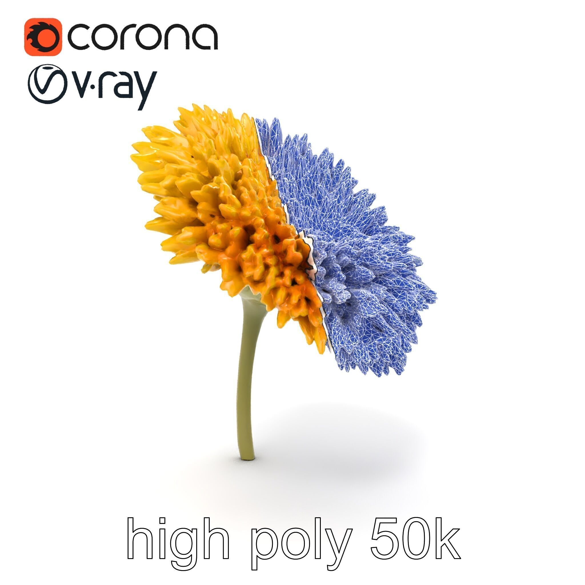 Chrysanthemum Yellow Sunlit Texture model pack Low-poly 3D model_28