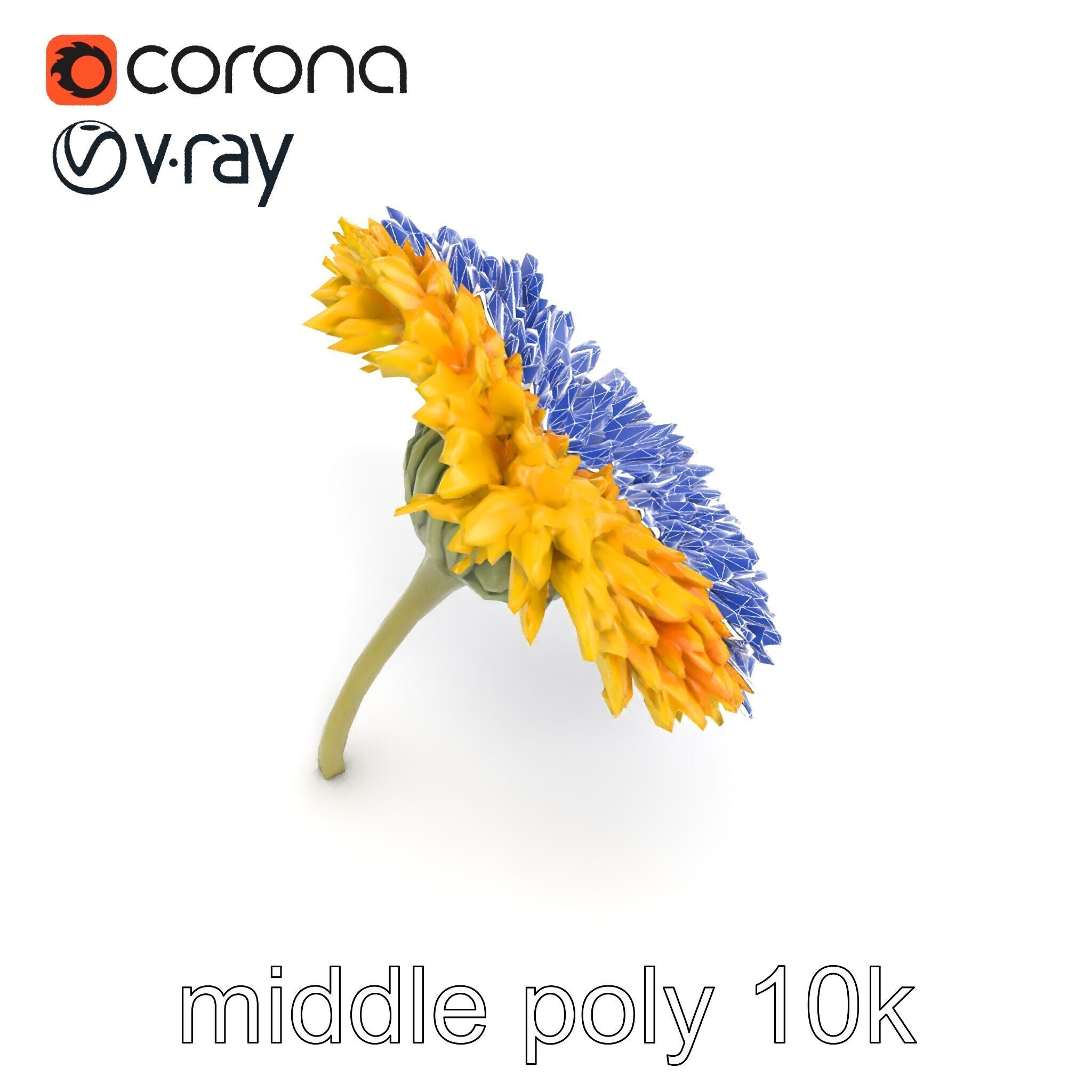 Chrysanthemum Yellow Sunlit Texture model pack Low-poly 3D model_23