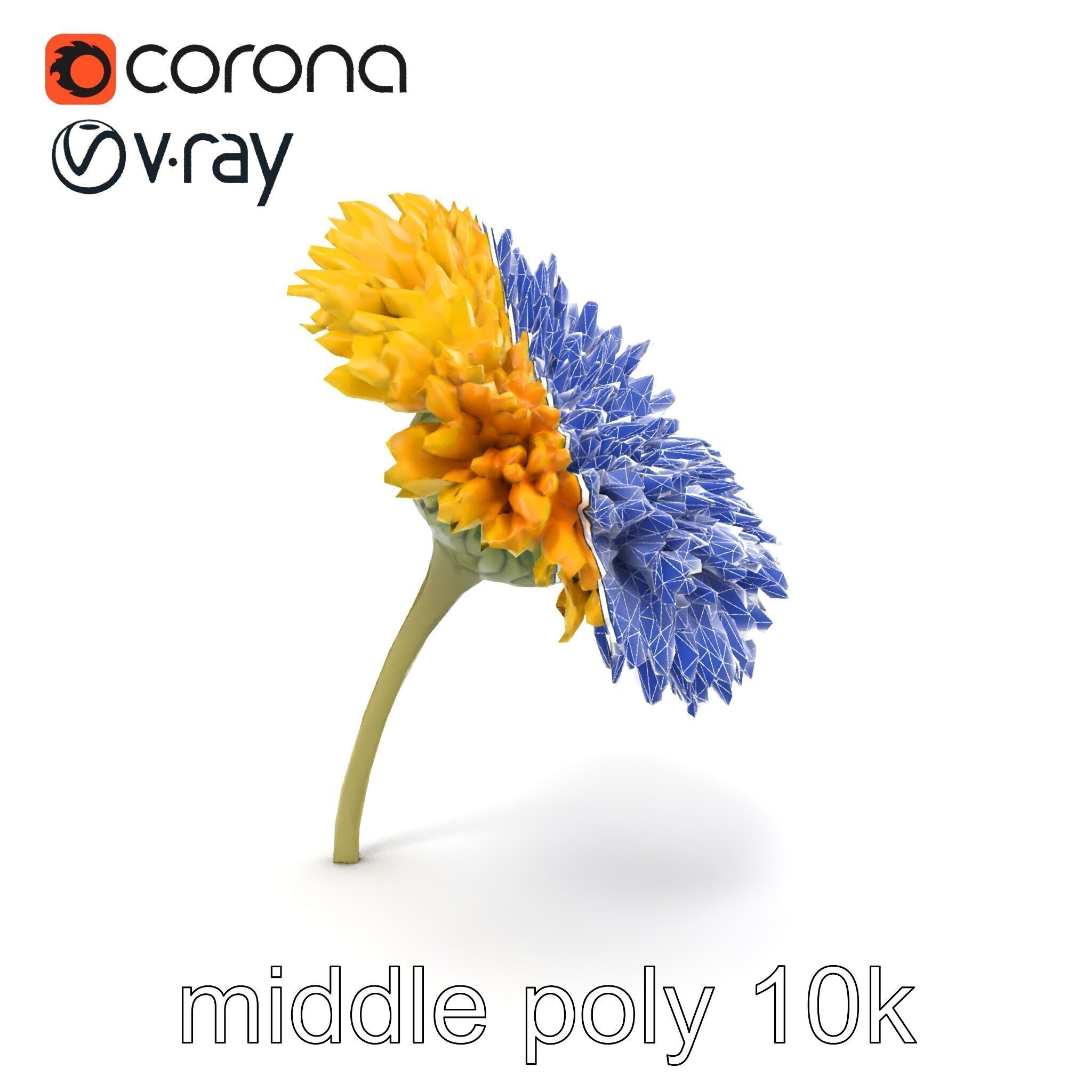 Chrysanthemum Yellow Sunlit Texture model pack Low-poly 3D model_27