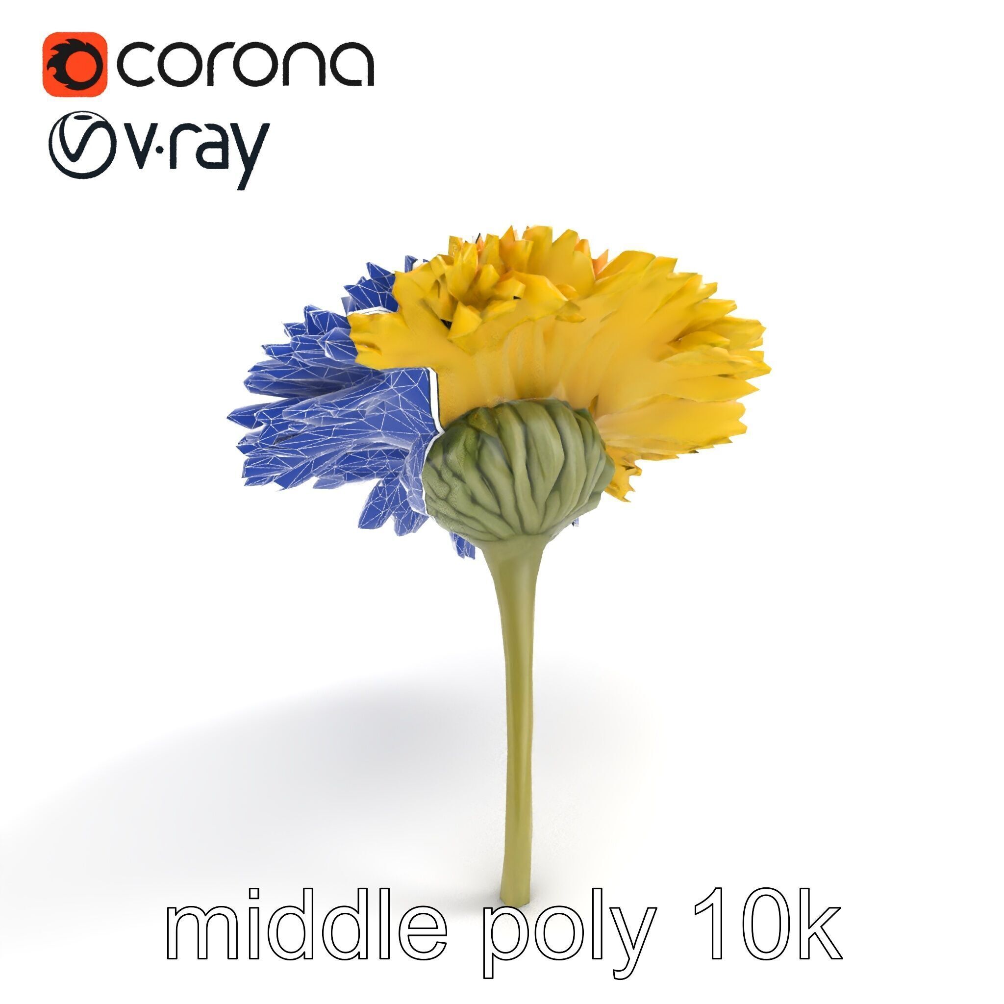 Chrysanthemum Yellow Sunlit Texture model pack Low-poly 3D model_10