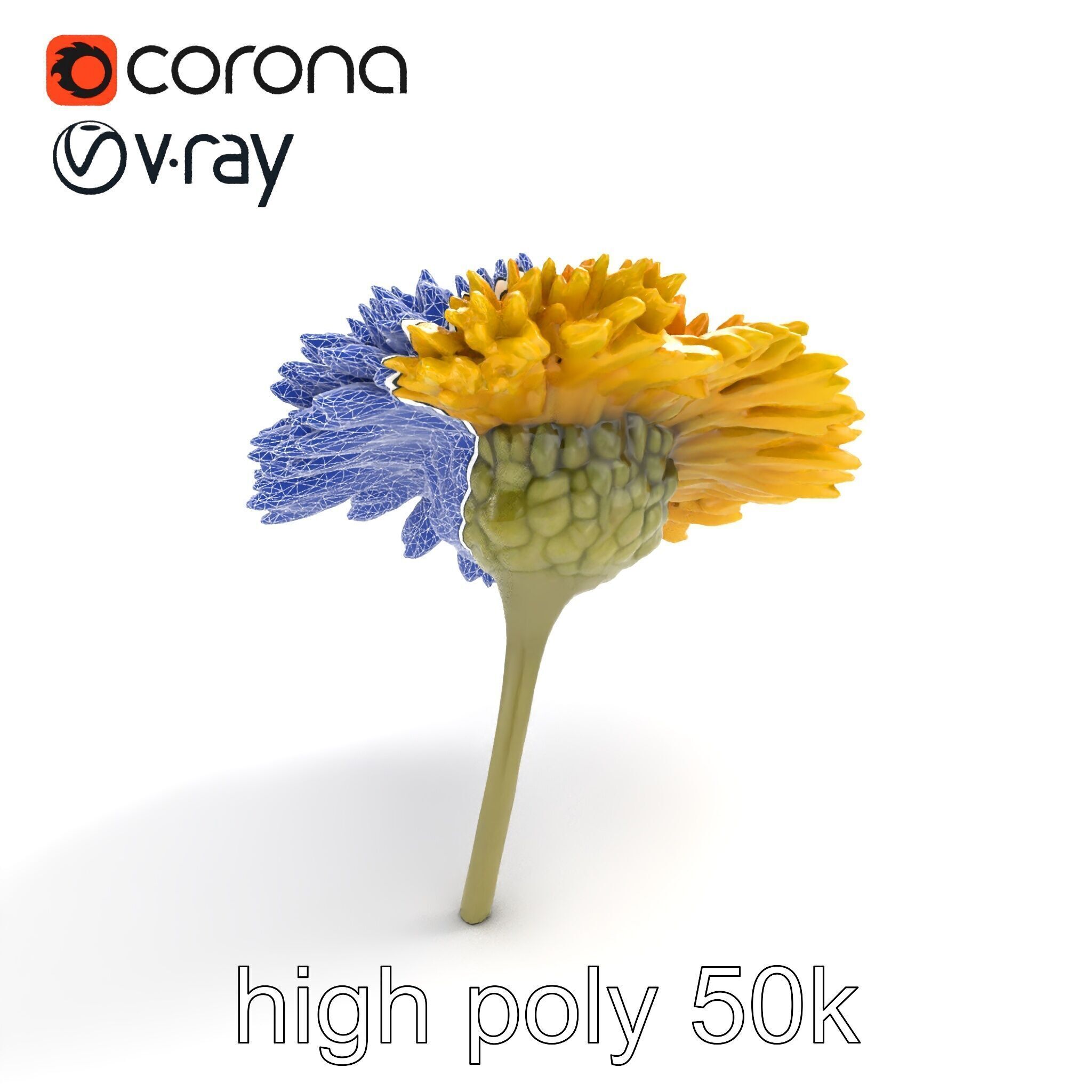 Chrysanthemum Yellow Sunlit Texture model pack Low-poly 3D model_19