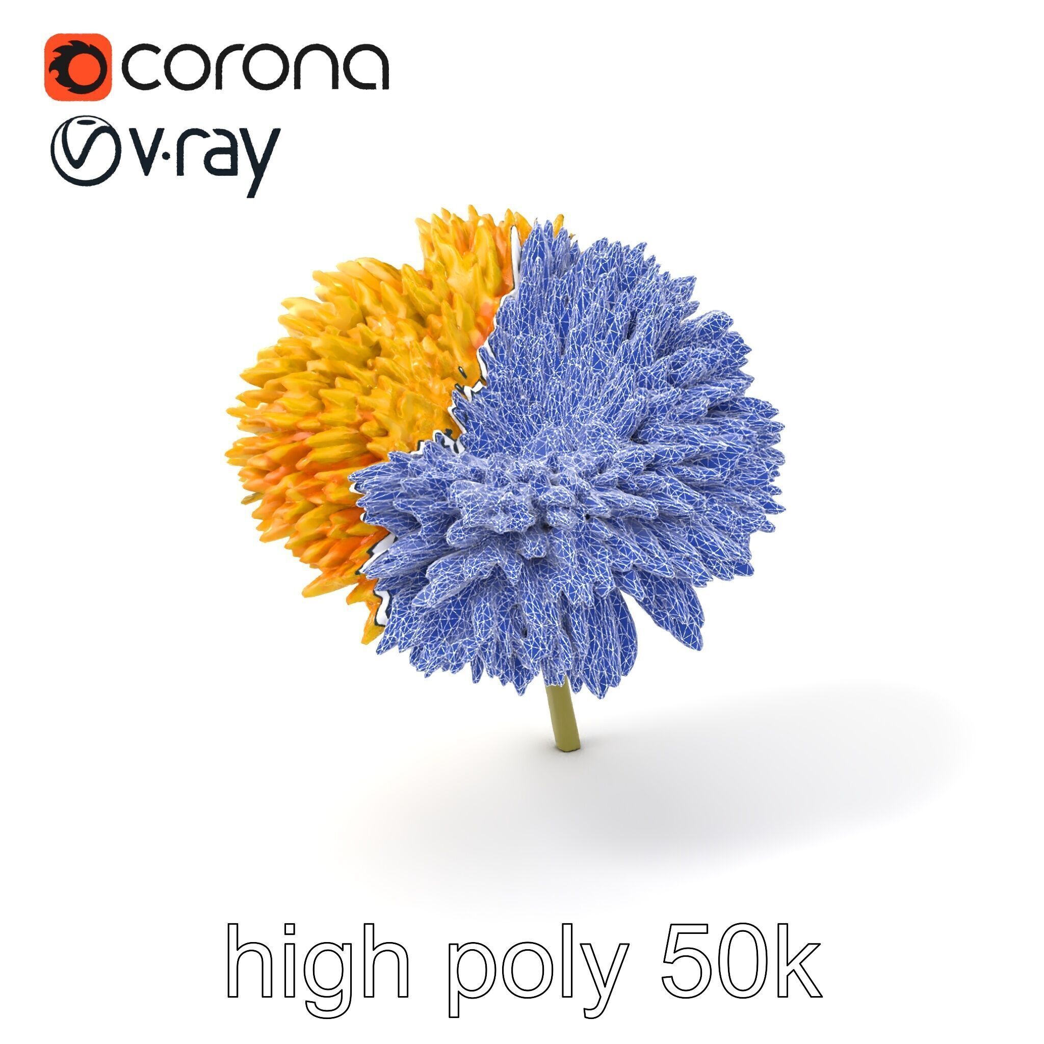 Chrysanthemum Yellow Sunlit Texture model pack Low-poly 3D model_1
