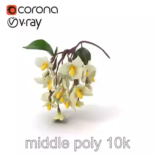White Wisteria Snow-White Petals Floral model pack