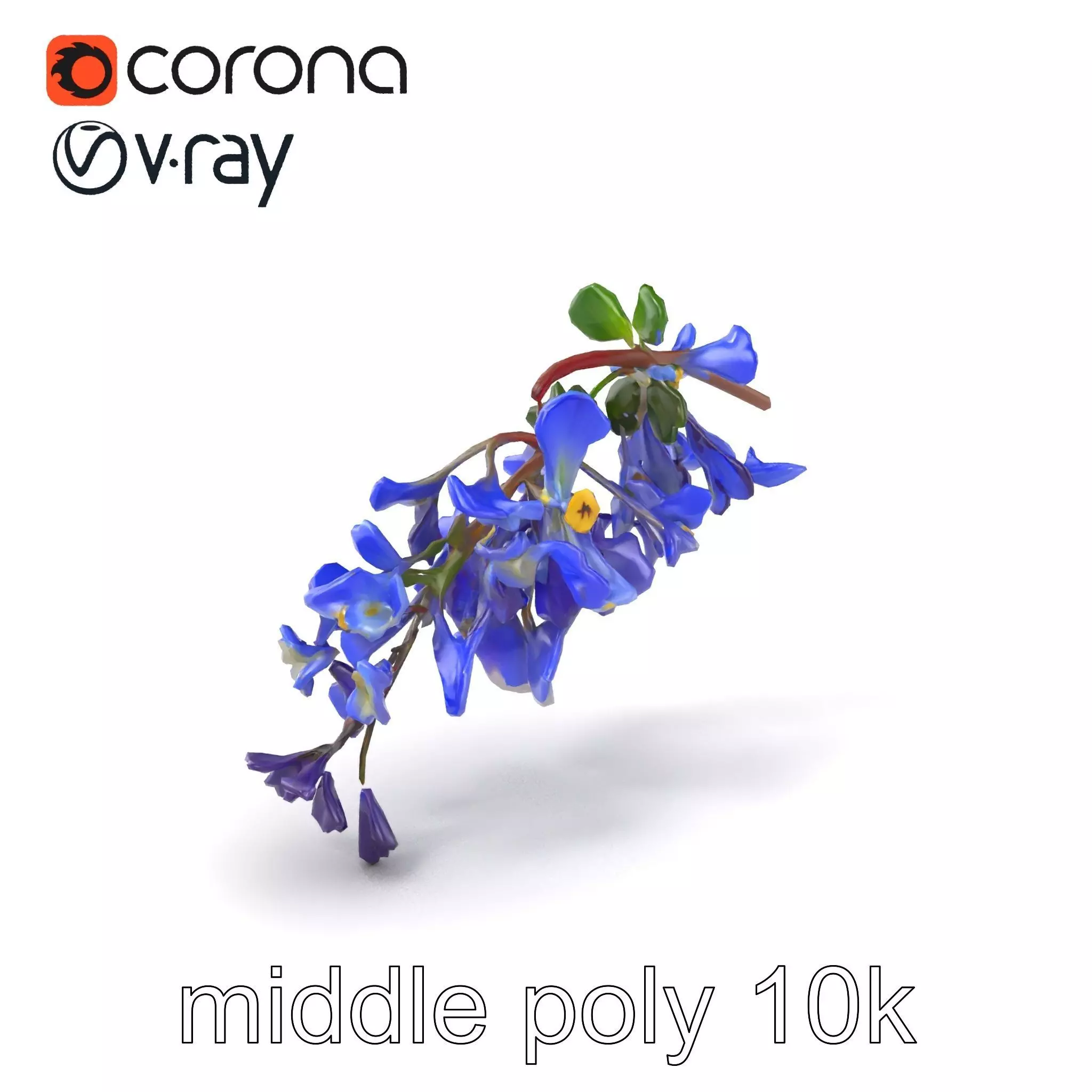 Blue Wisteria Realistic Floral Structure model pack Low-poly 3D model