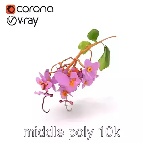Pink Wisteria Blossom Realistic model pack