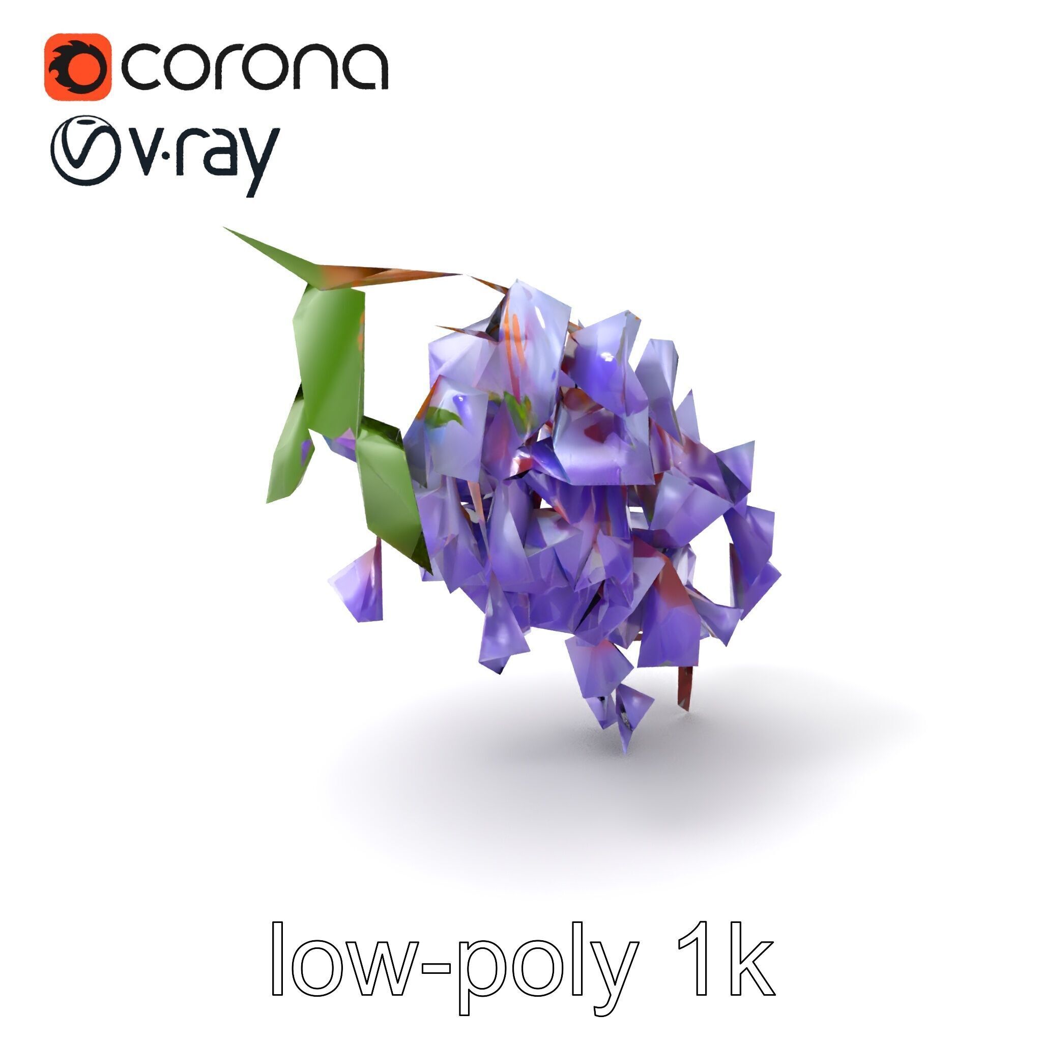 Bicolor Wisteria Petals 3D Model Pack Low-poly 3D model_5