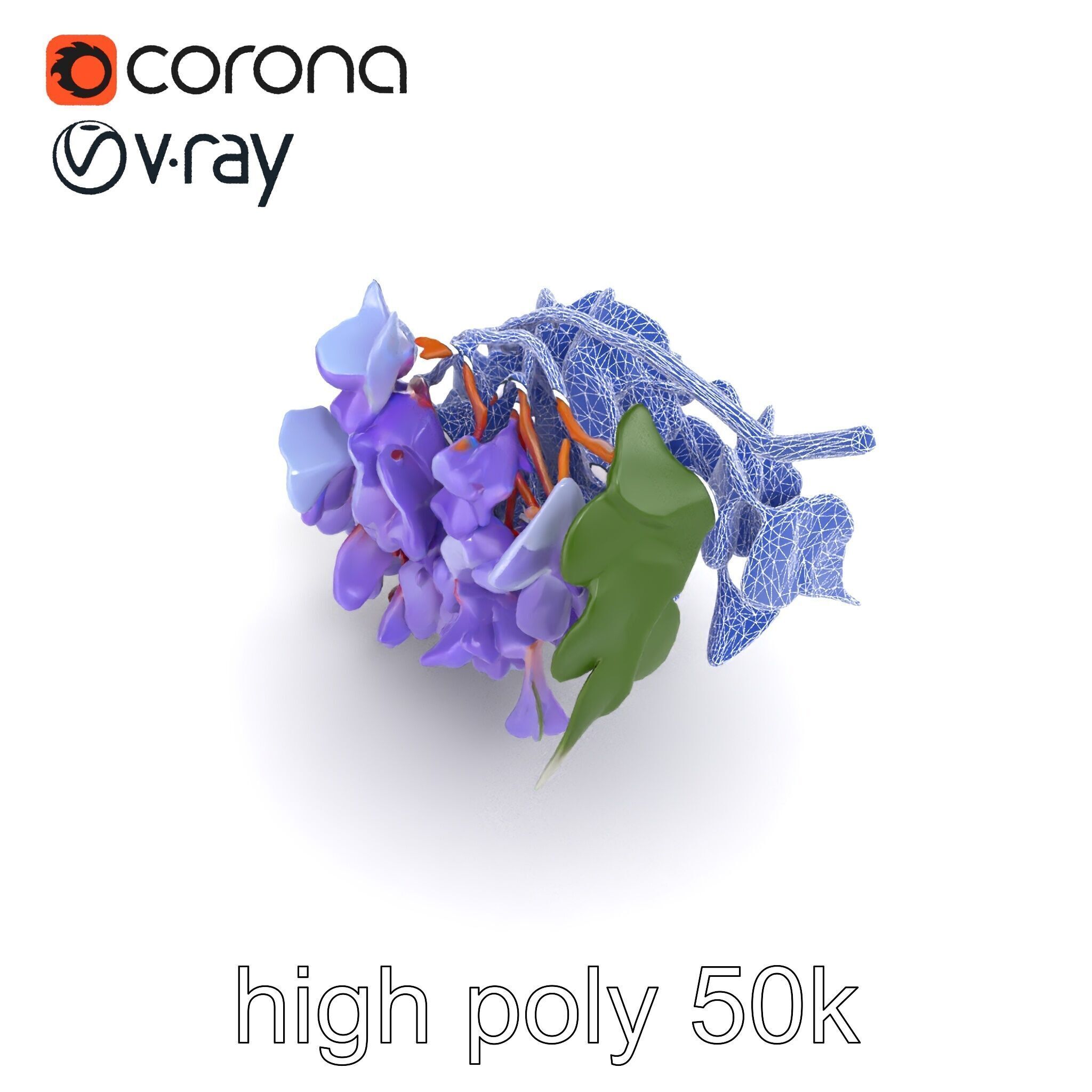 Bicolor Wisteria Petals 3D Model Pack Low-poly 3D model_19