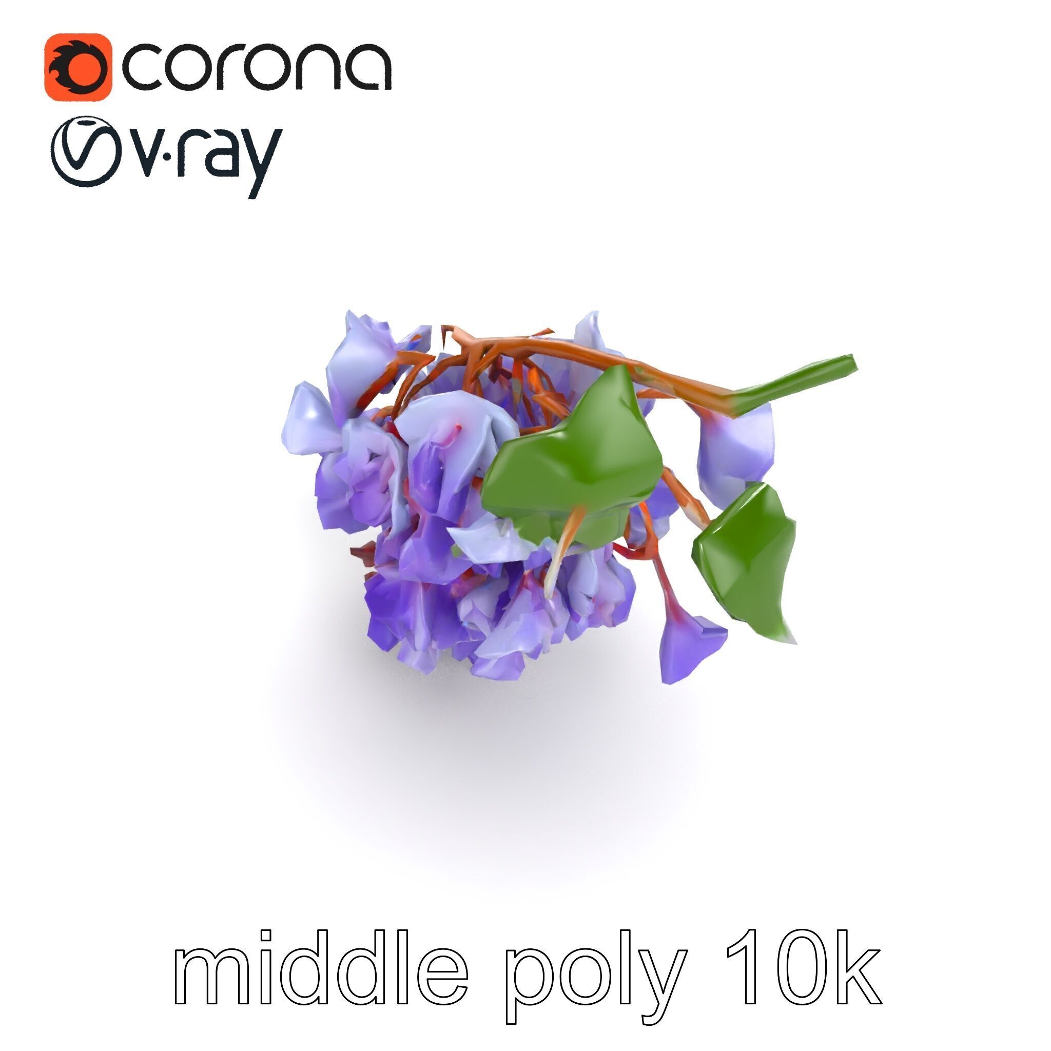 Bicolor Wisteria Petals 3D Model Pack Low-poly 3D model_15