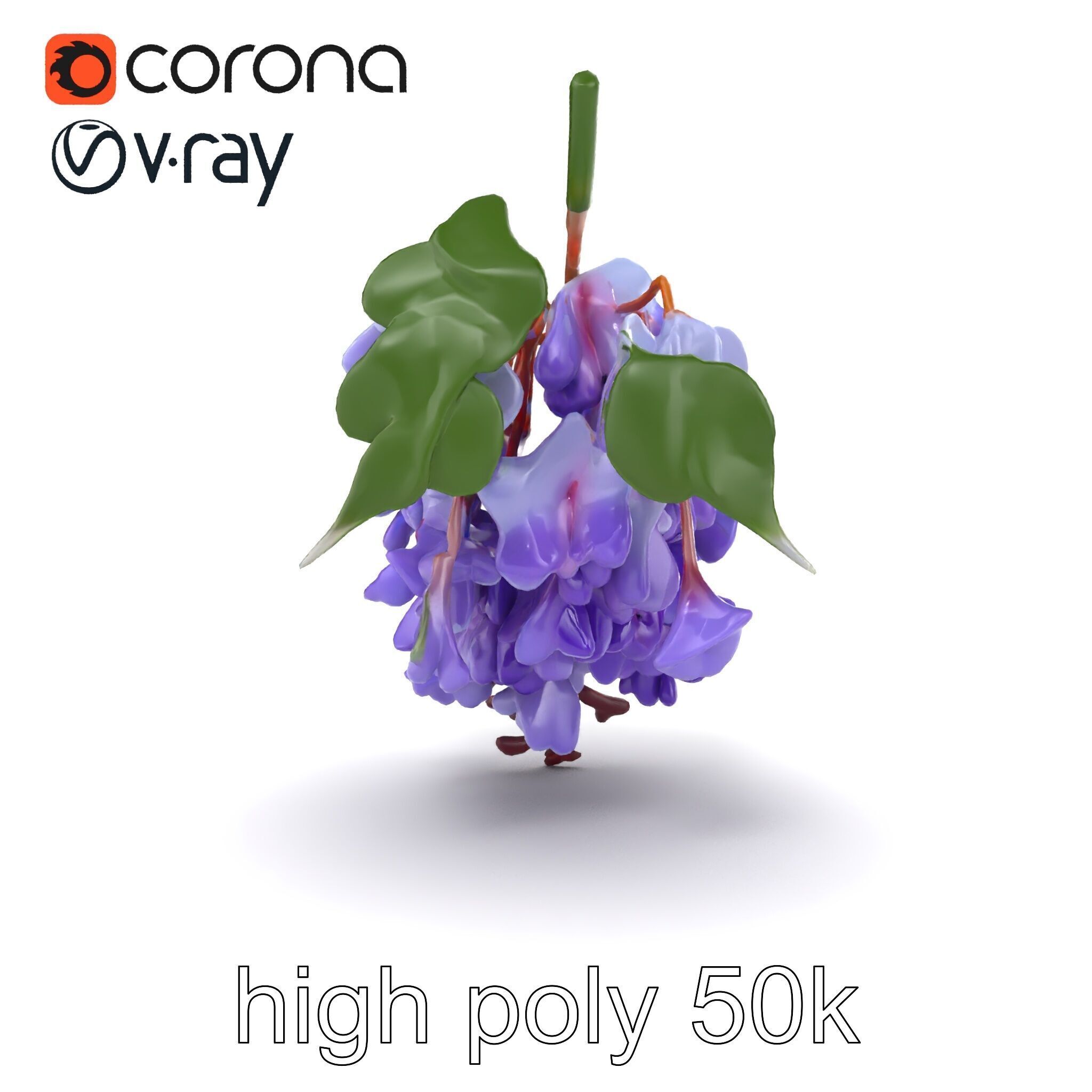 Bicolor Wisteria Petals 3D Model Pack Low-poly 3D model_23