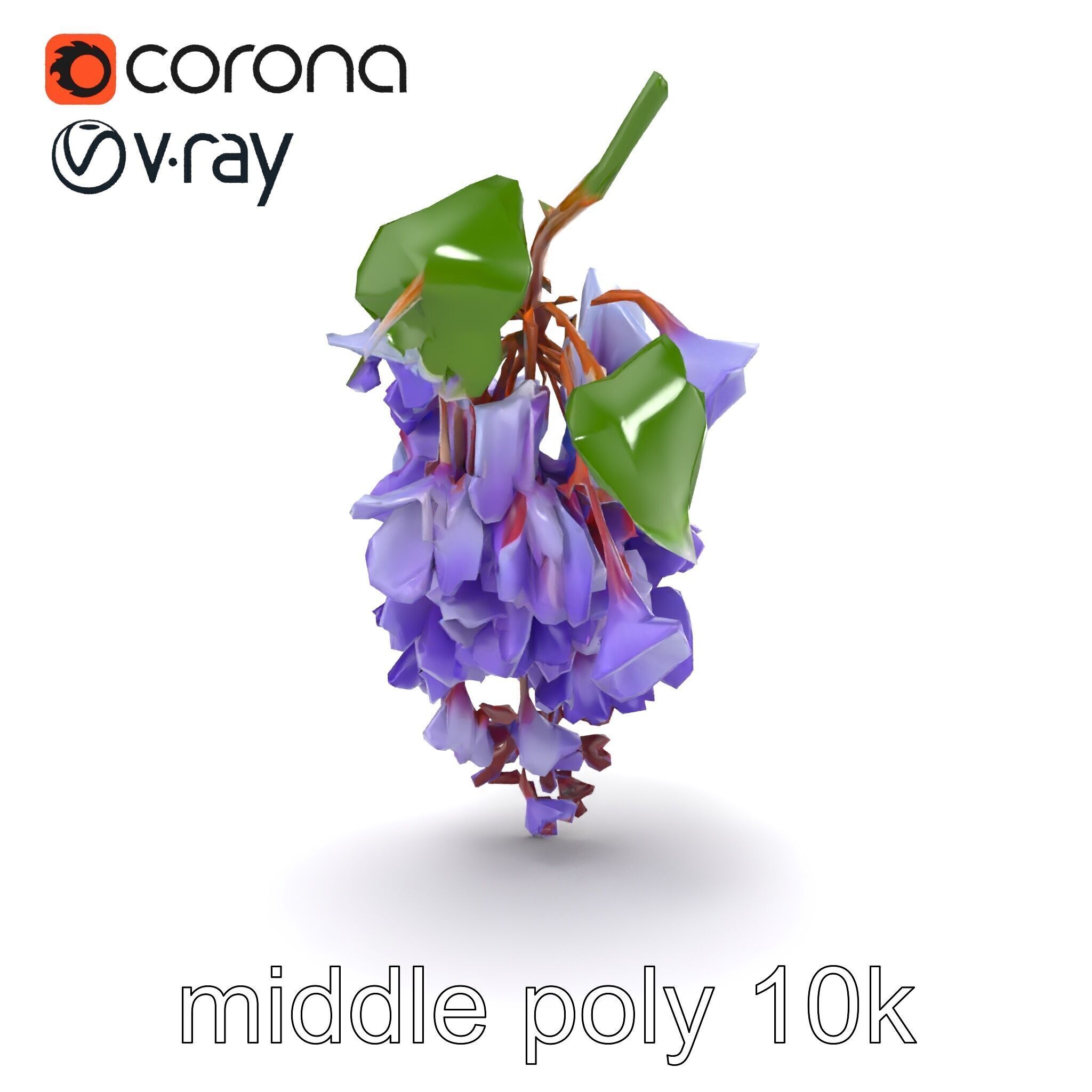 Bicolor Wisteria Petals 3D Model Pack Low-poly 3D model_30