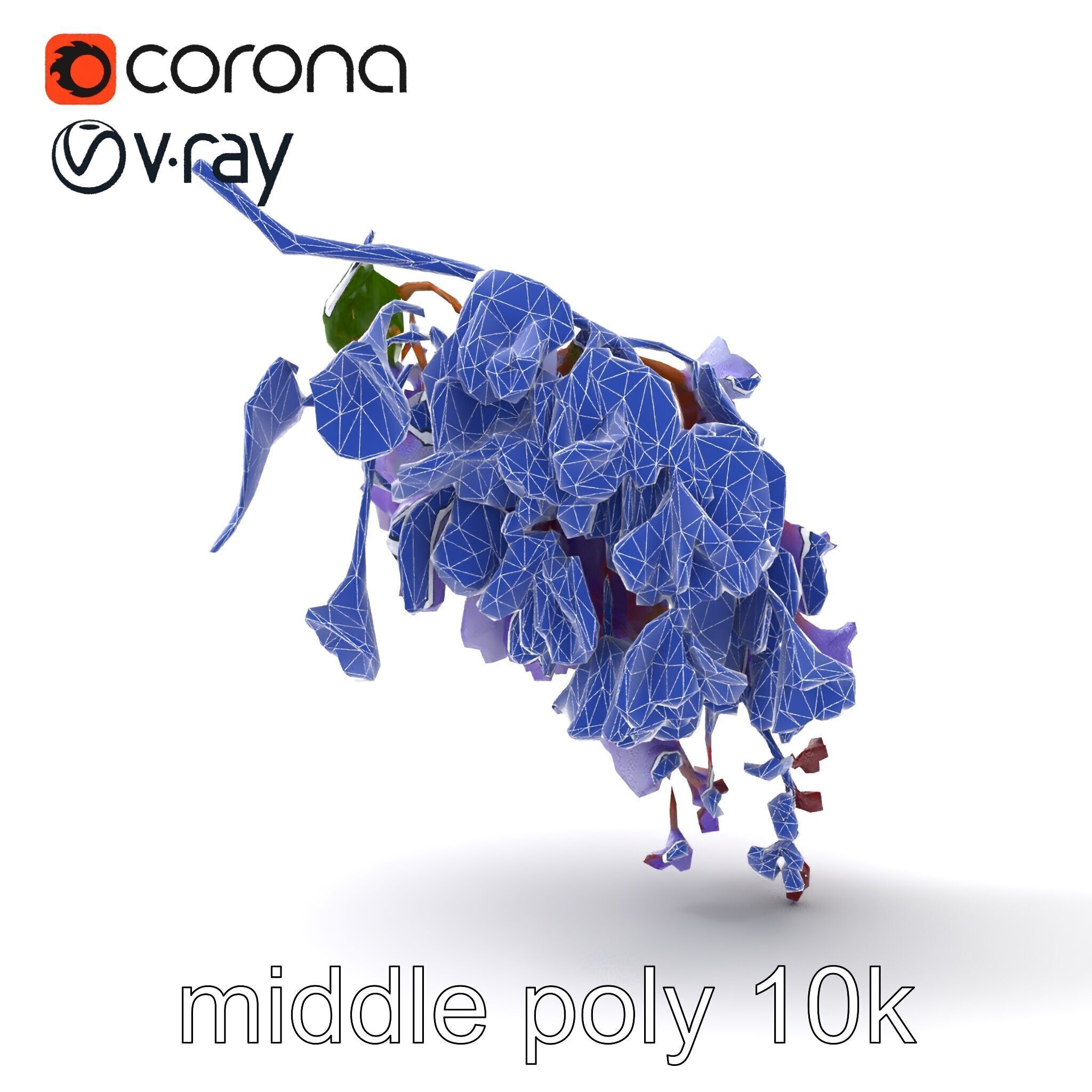 Bicolor Wisteria Petals 3D Model Pack Low-poly 3D model_31