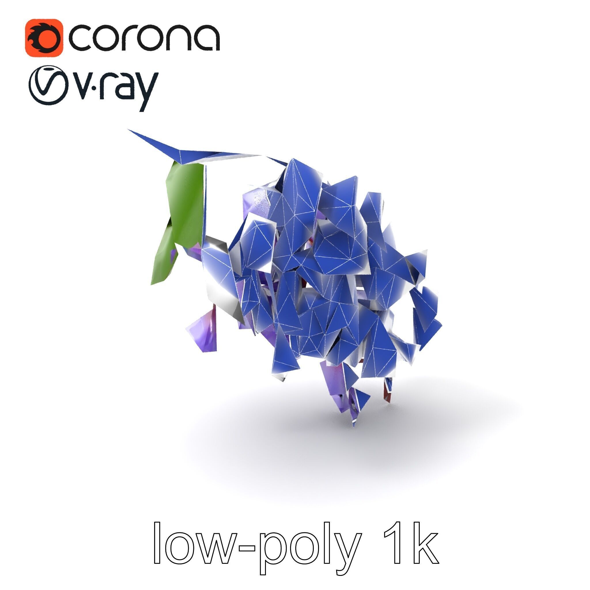 Bicolor Wisteria Petals 3D Model Pack Low-poly 3D model_7
