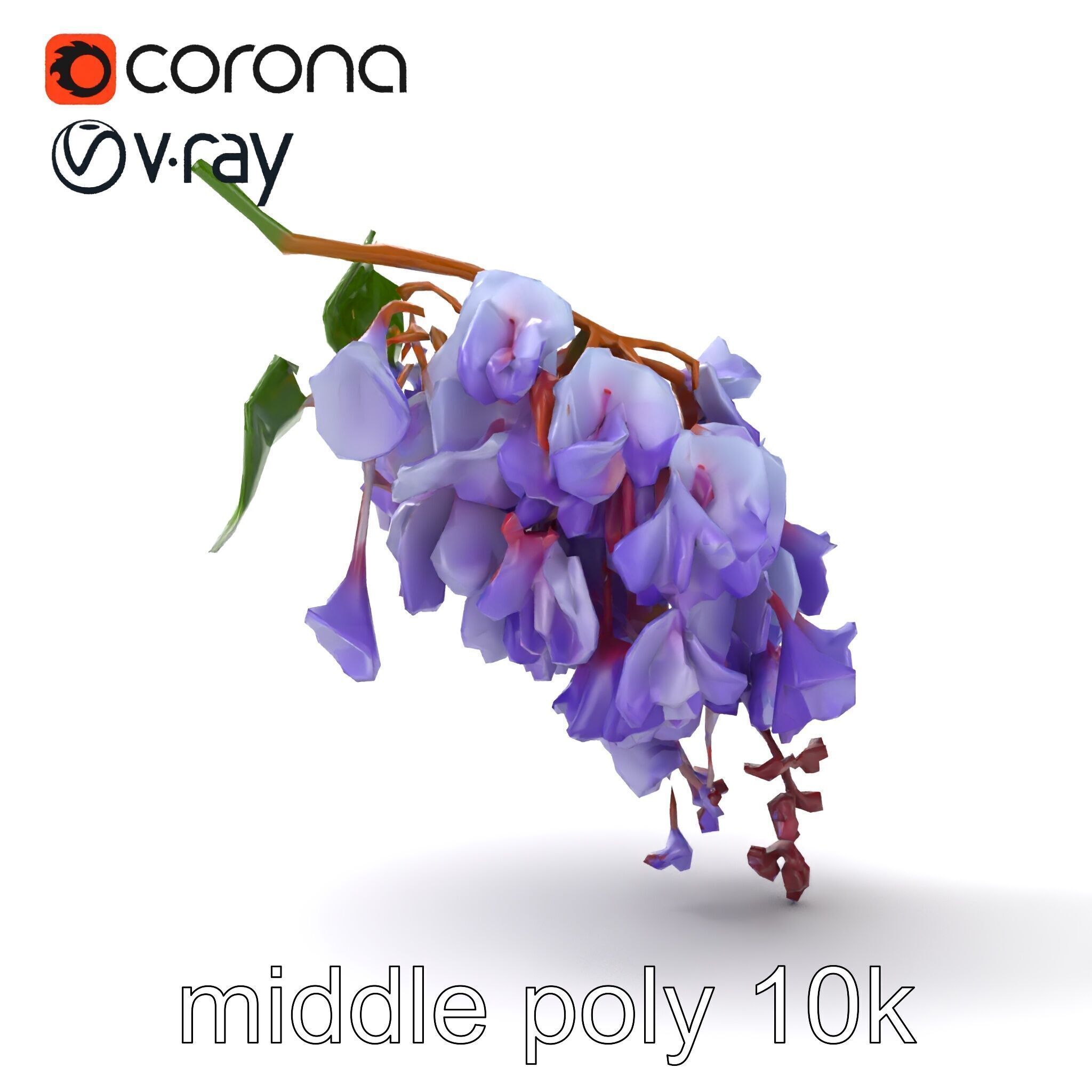 Bicolor Wisteria Petals 3D Model Pack Low-poly 3D model_17